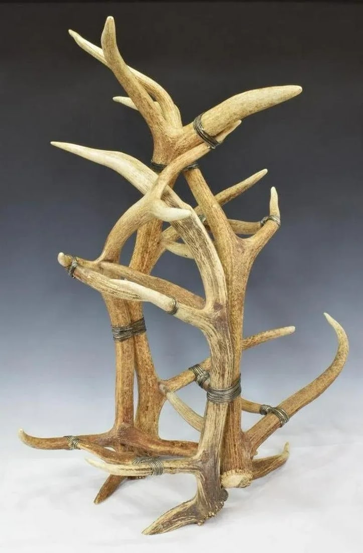 Monumental Real Antler Wine Bottle Rack Attributed to Maitland-Smith - 13