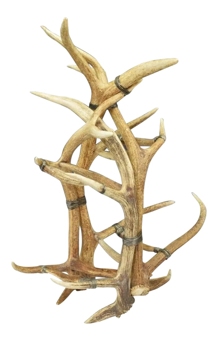Monumental Real Antler Wine Bottle Rack Attributed to Maitland-Smith (1 of 13)