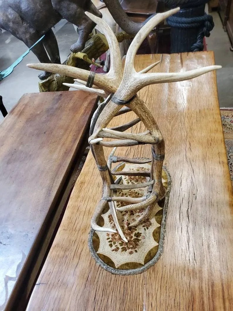 Monumental Real Antler Wine Bottle Rack Attributed to Maitland-Smith - 7
