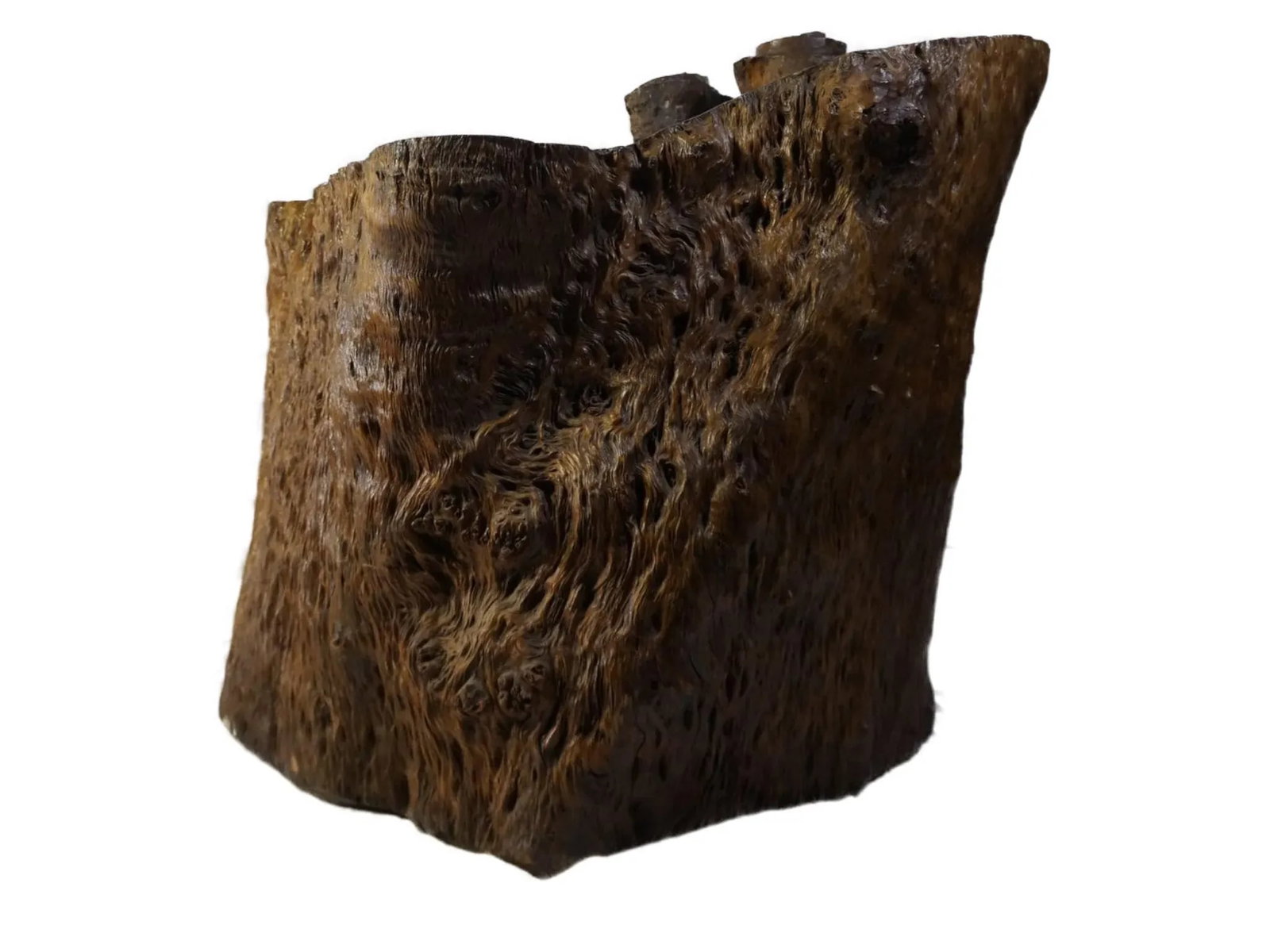 20th Century Chinese Enhanced Burl Tree Trunk Pot - 3