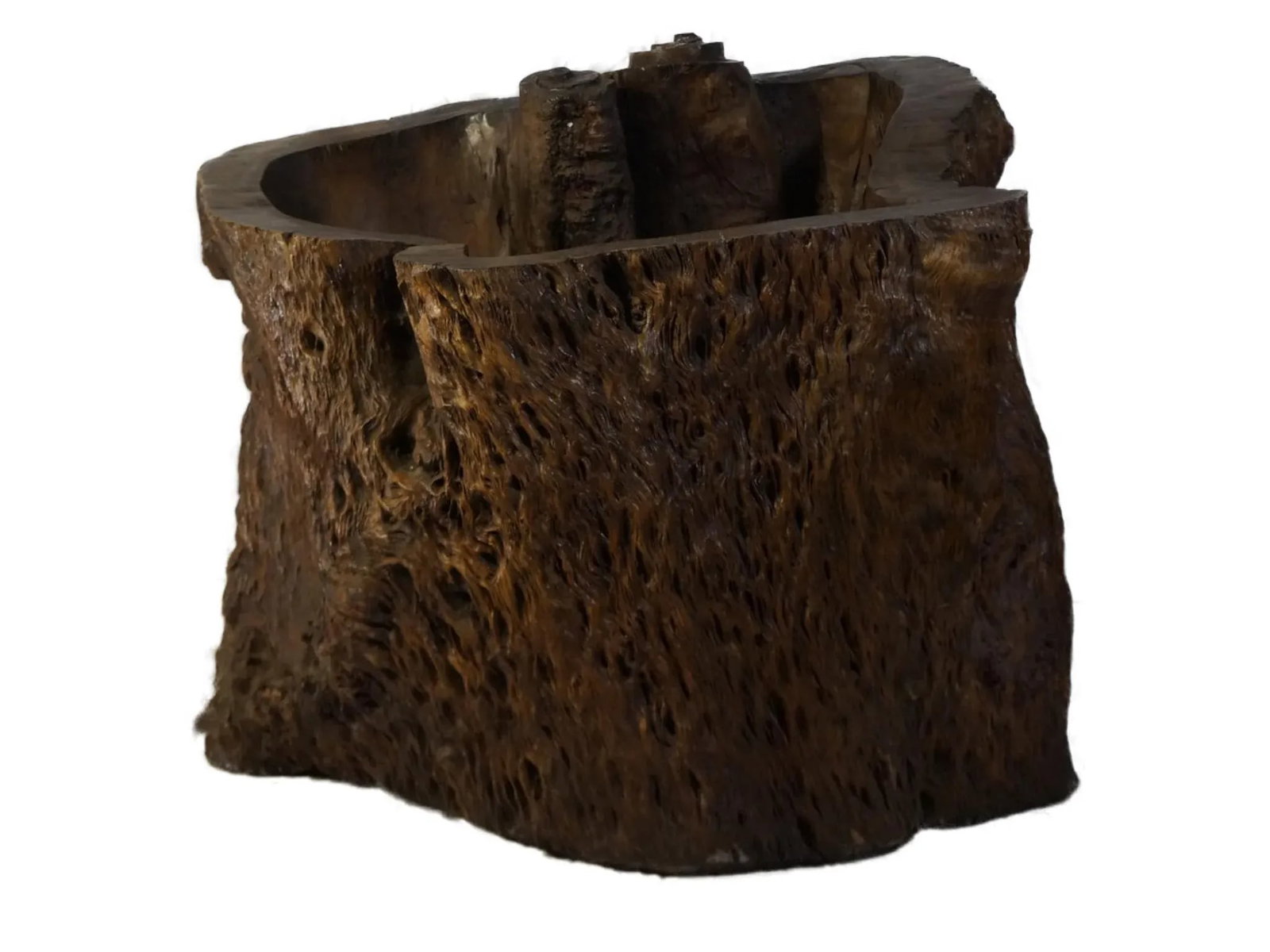 20th Century Chinese Enhanced Burl Tree Trunk Pot - 4