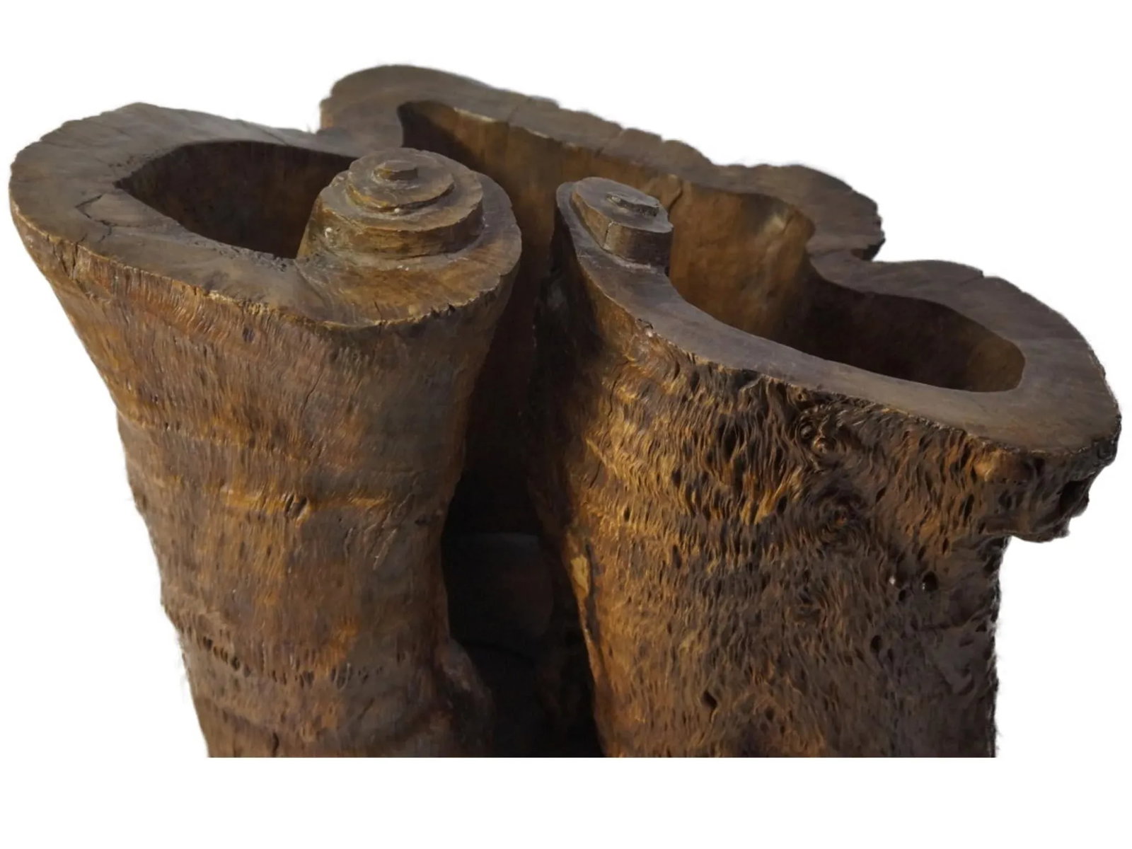 20th Century Chinese Enhanced Burl Tree Trunk Pot - 5