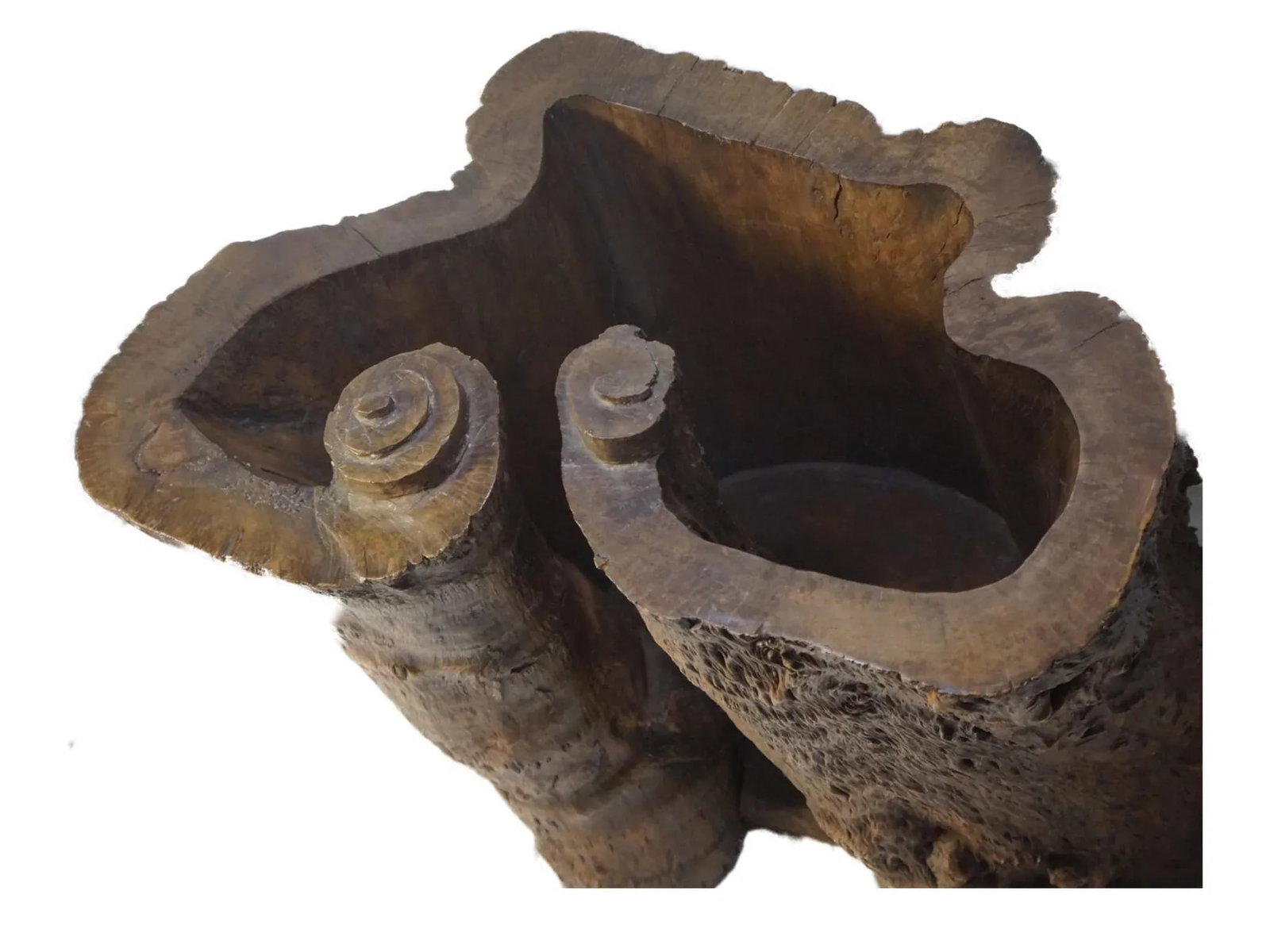 20th Century Chinese Enhanced Burl Tree Trunk Pot - 6