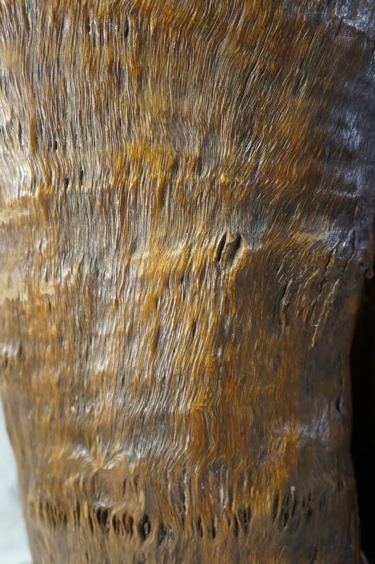 20th Century Chinese Enhanced Burl Tree Trunk Pot - 7