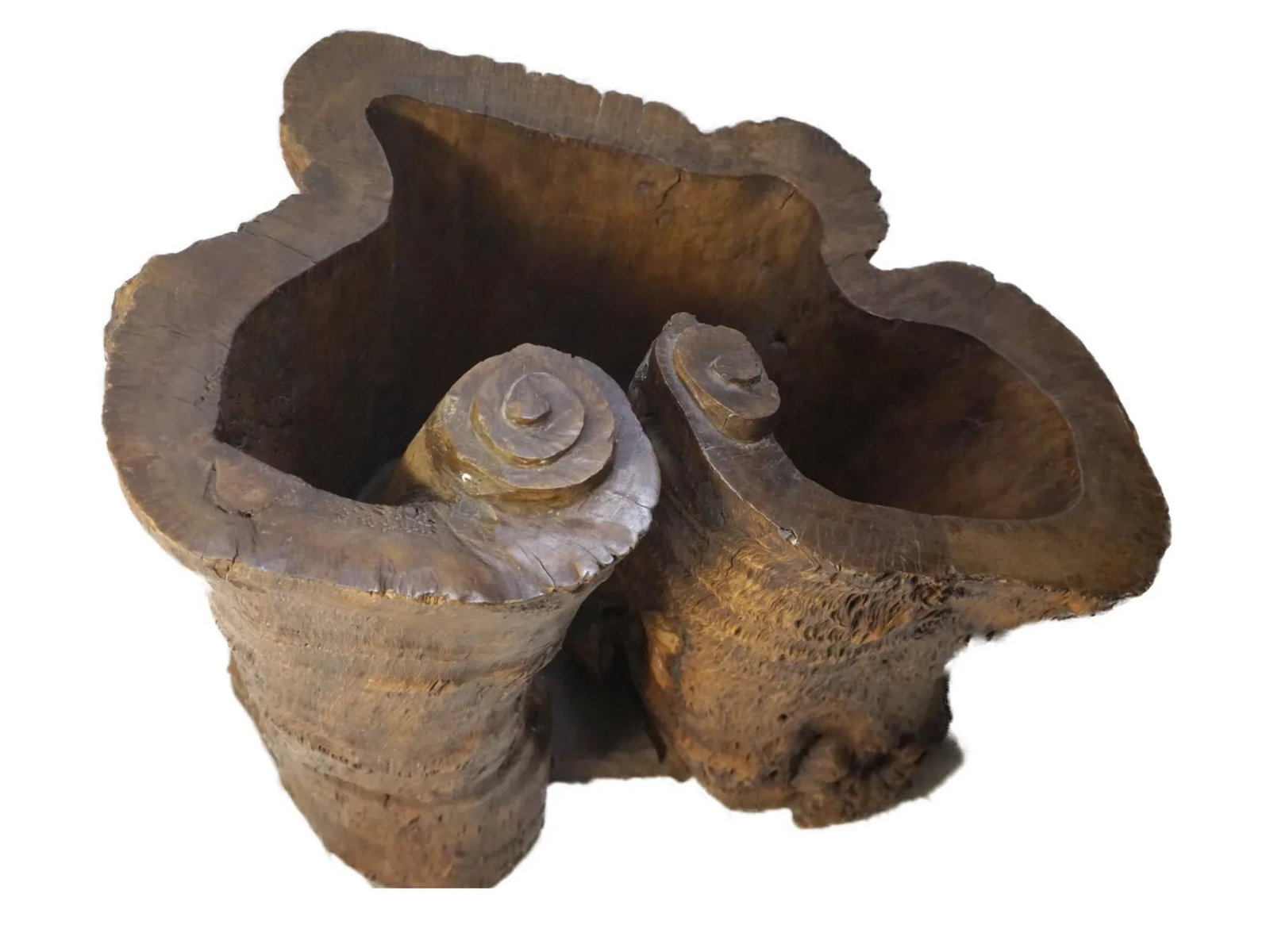 20th Century Chinese Enhanced Burl Tree Trunk Pot - 9