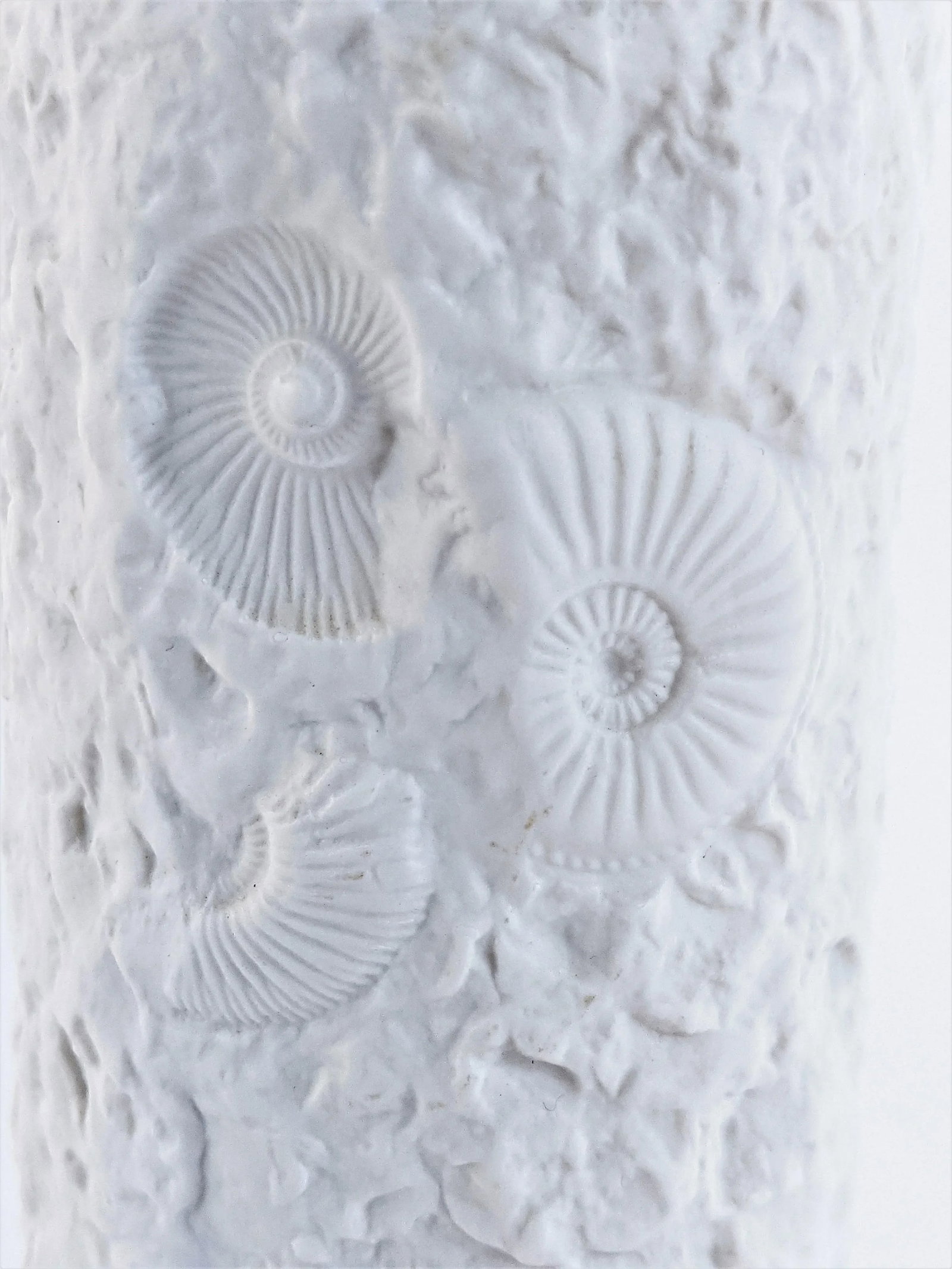 A. K. Kaiser White Bisque Porcelain Fossil Vase West Germany - 9