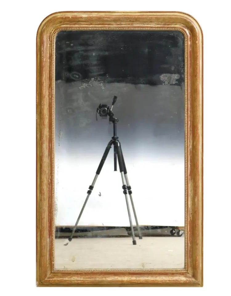 French Louis Philippe Period Giltwood Wall Mirror - 2