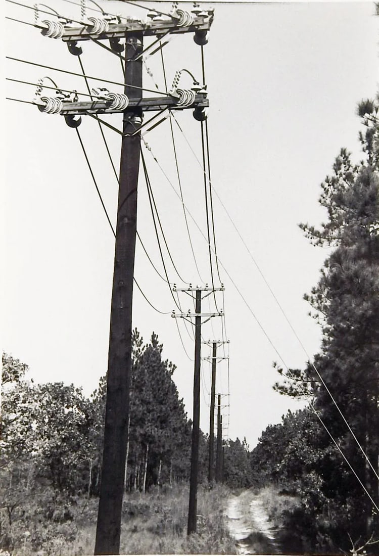 Gallery of Black & White Photographs - Set of 4 - 3
