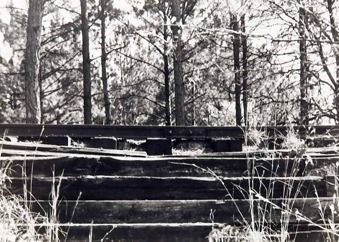 Gallery of Black & White Photographs - Set of 4 - 4
