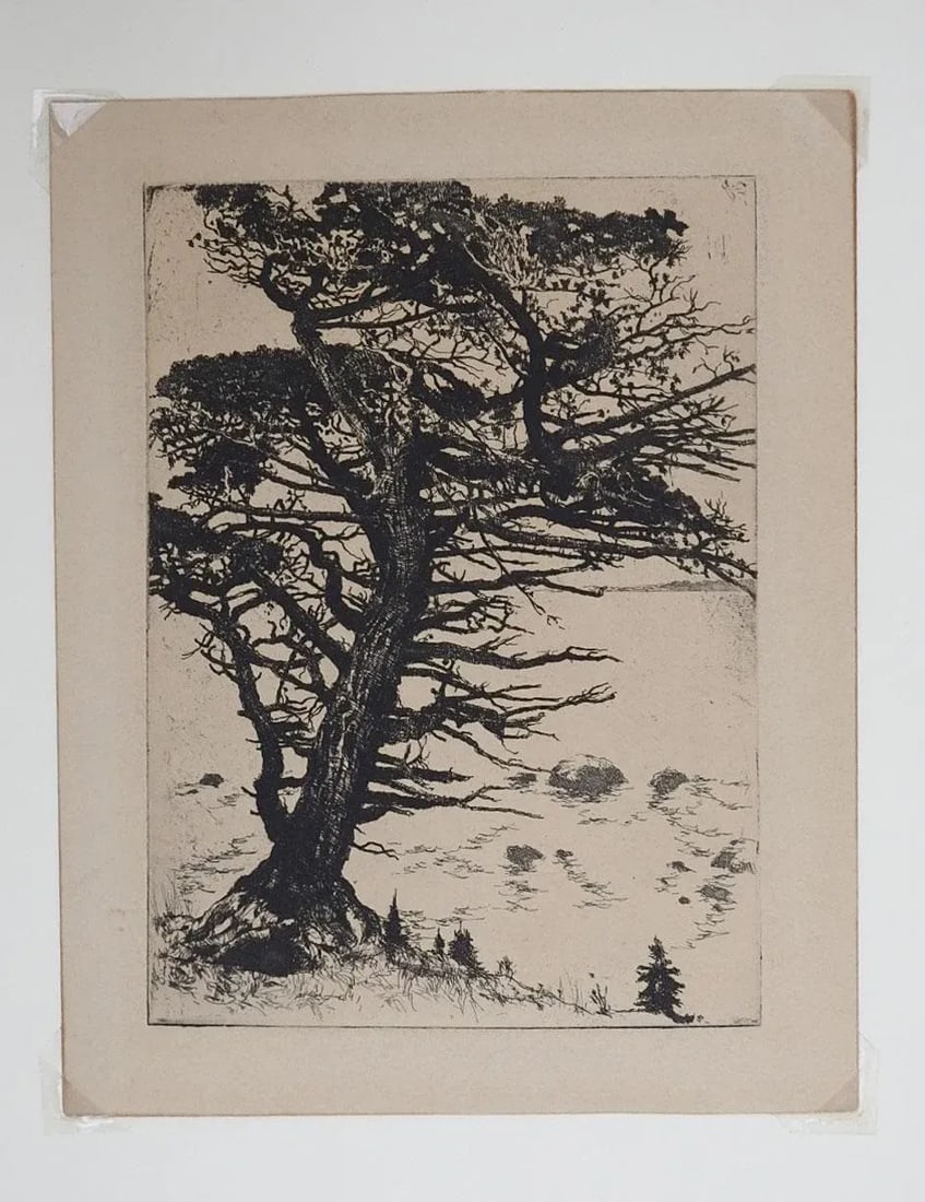 Vintage Mountain Juniper Tree Landscape Etching - 2