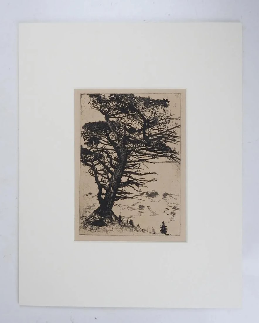 Vintage Mountain Juniper Tree Landscape Etching - 3