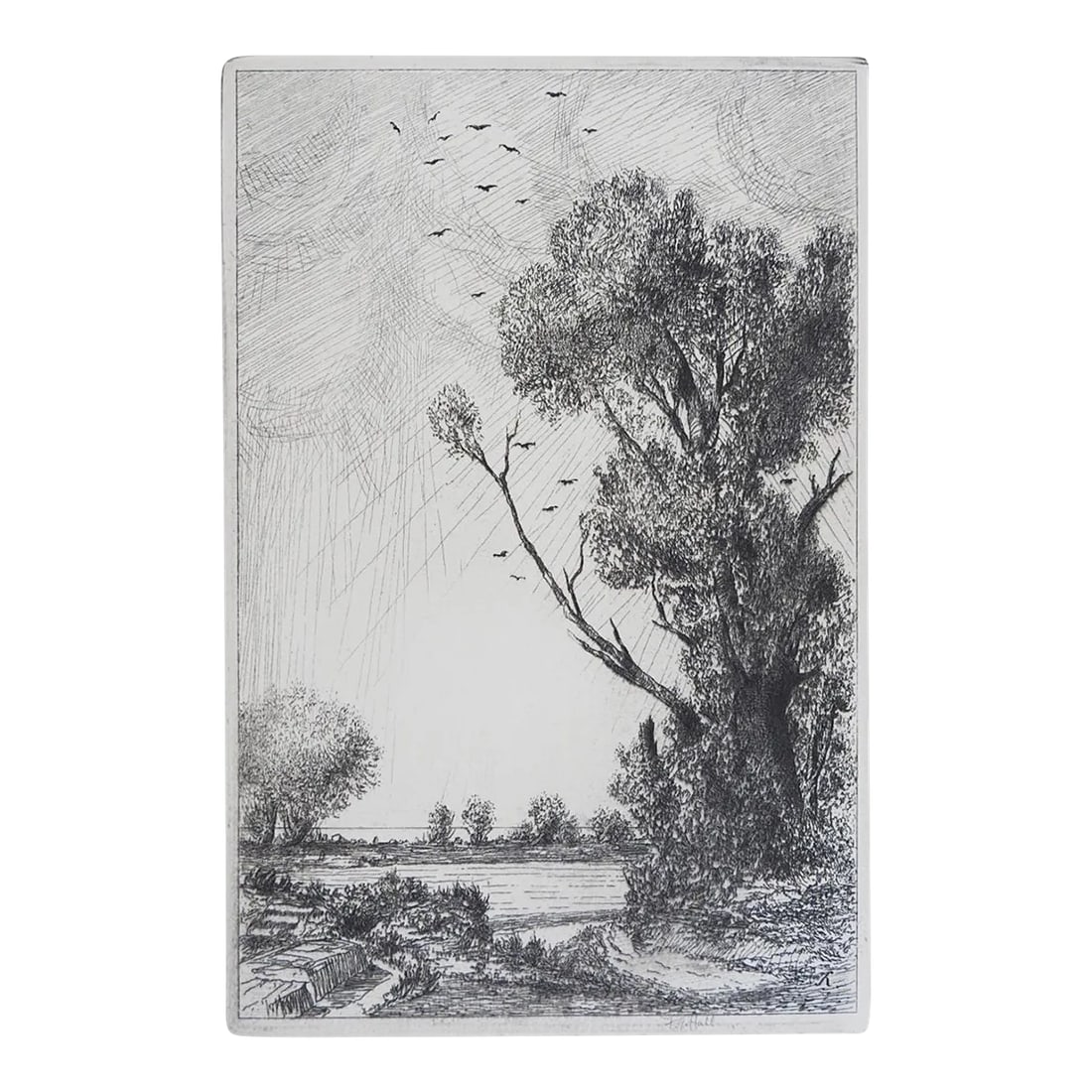 Vintage Riverside Landscape Etching: Vintage mid 20th century etching on paper of riverside landscape. Signed F. W. Hall lower margin. Unframed, displayed in cream mat and backing, opening size 5" x 7.75". Condition: Alterations: Origina