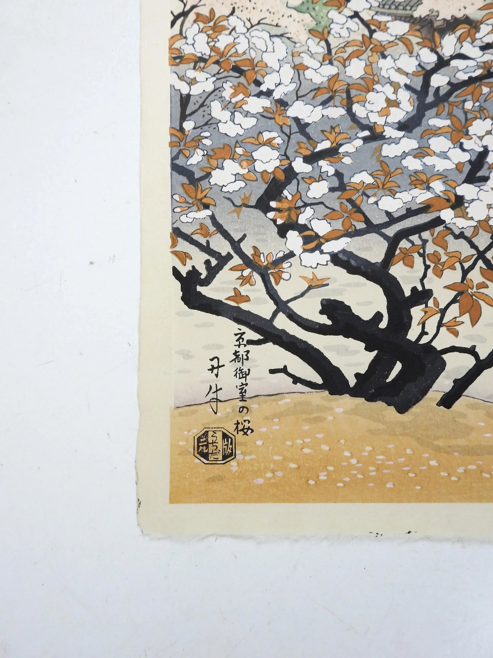 Mid 20th Century Benji Asada Japanese Woodblock Print Cherry Blossoms at Omuro Garden - 2