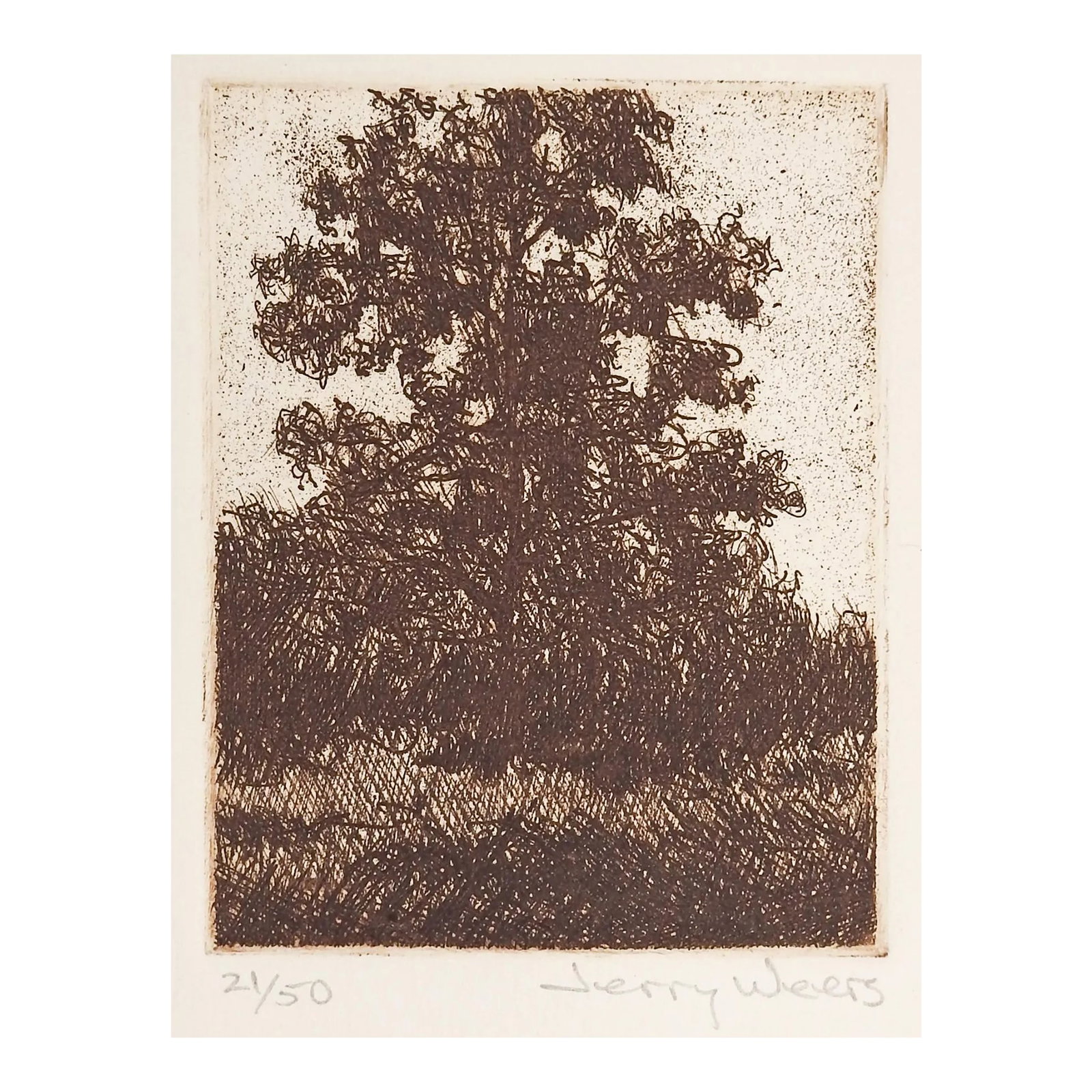 Lone Oak Tree Etching by Jerry Weers: Late 20th century etching on paper of oak tree and landscape by Jerry Weers (20th - 21st century) Texas. Signed and numbered 21/50 in pencil along lower margin. Unframed, image size 3" x 3.75". Condit