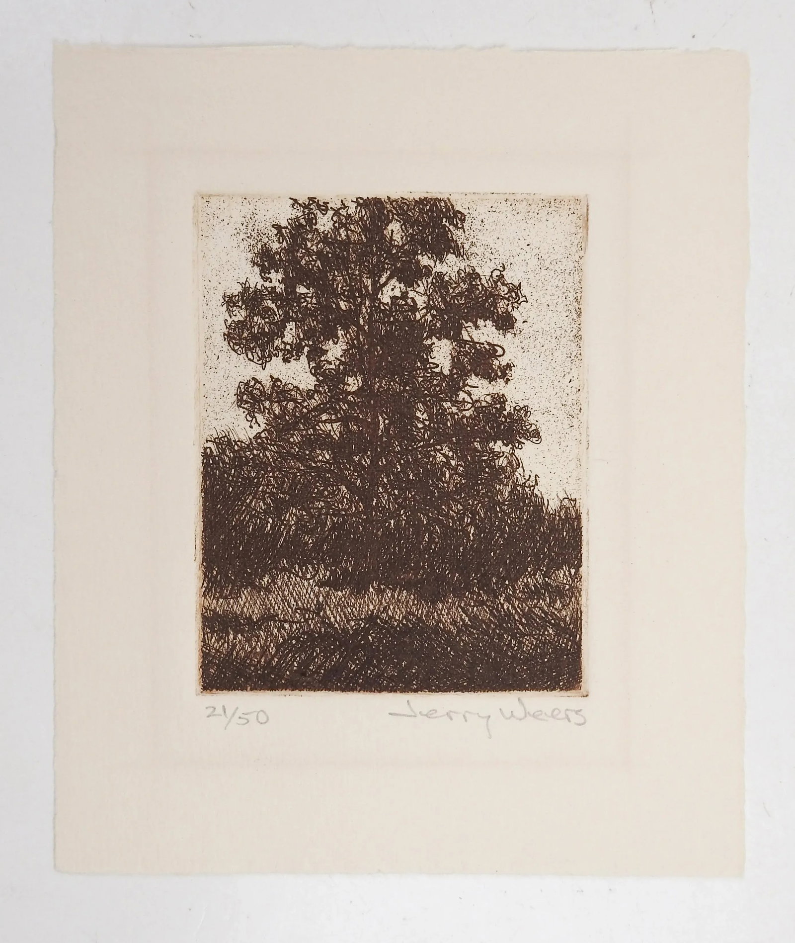 Lone Oak Tree Etching by Jerry Weers - 3