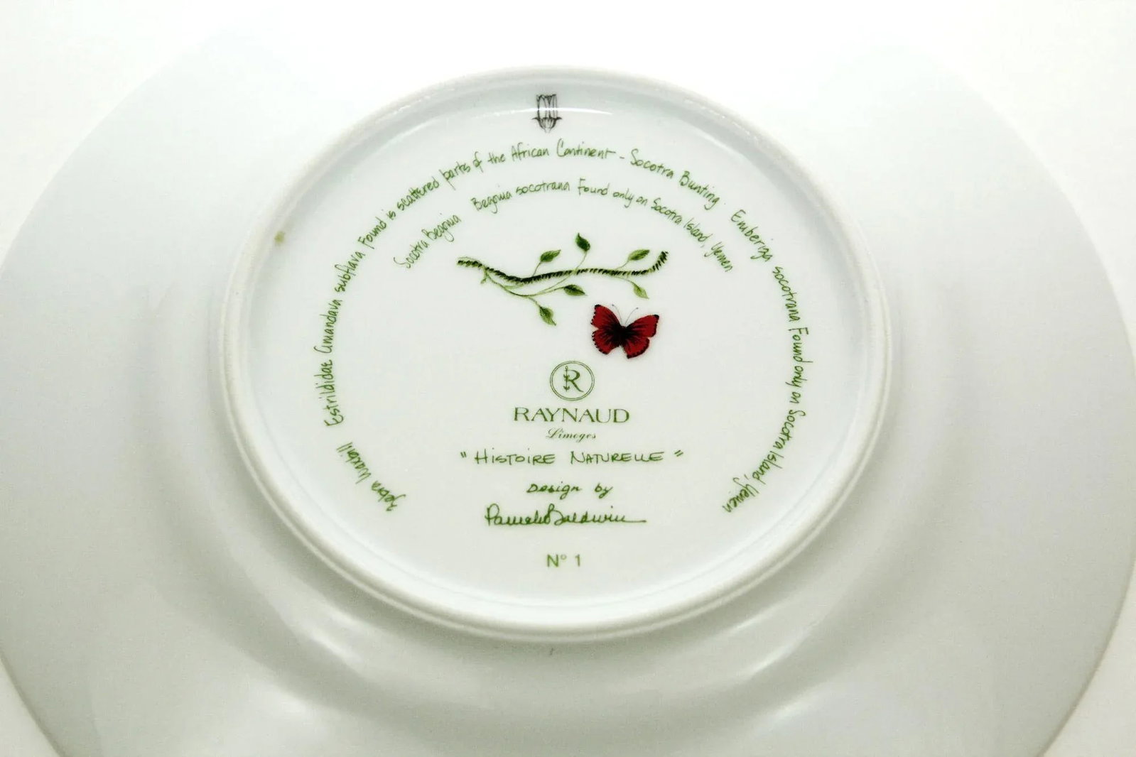 Raynaud Limoges France Porcelain Set Histoire Naturelle Design by Pamela Baldwin - 10