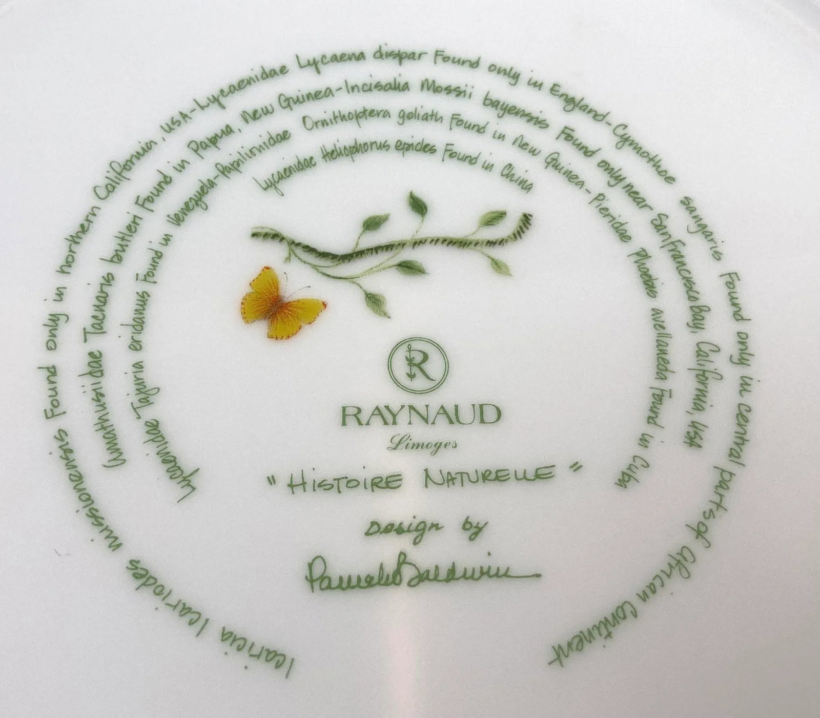 Raynaud Limoges France Porcelain Set Histoire Naturelle Design by Pamela Baldwin - 12