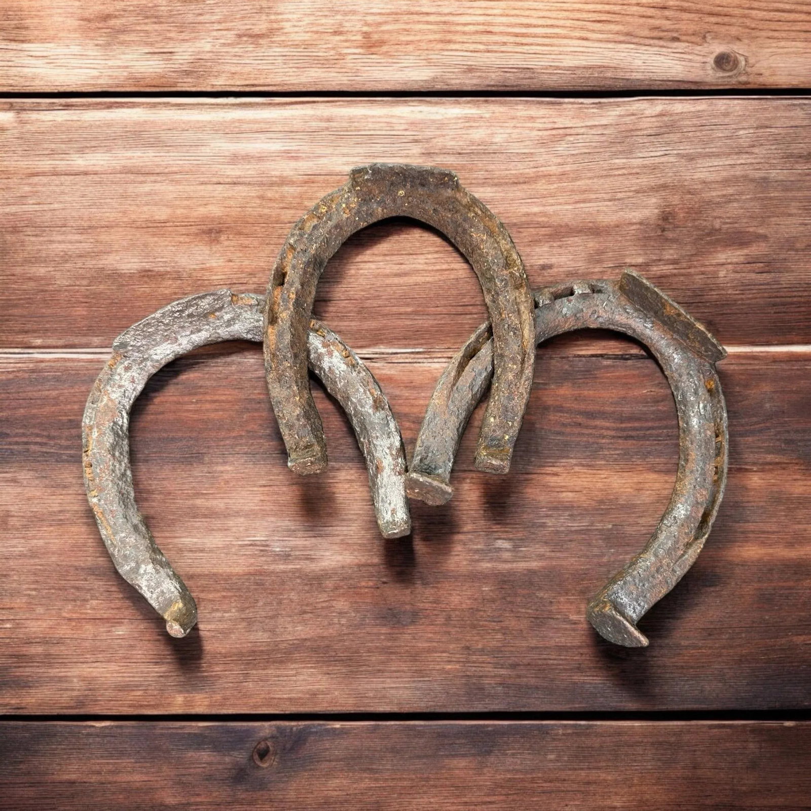 Early 20th Century Rustic Horseshoes Wall Decor- Set of 5 - 3