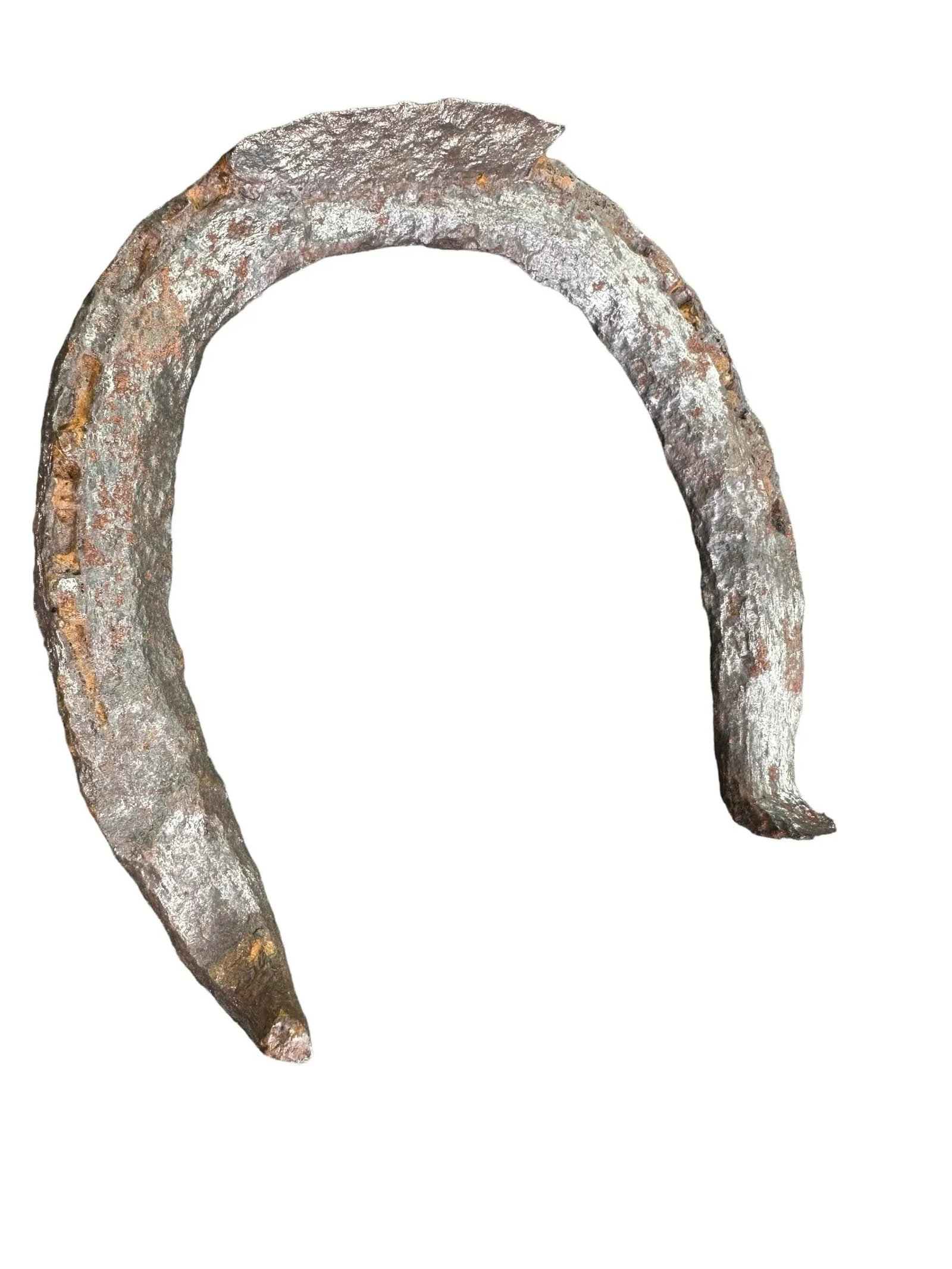 Early 20th Century Rustic Horseshoes Wall Decor- Set of 5 - 7