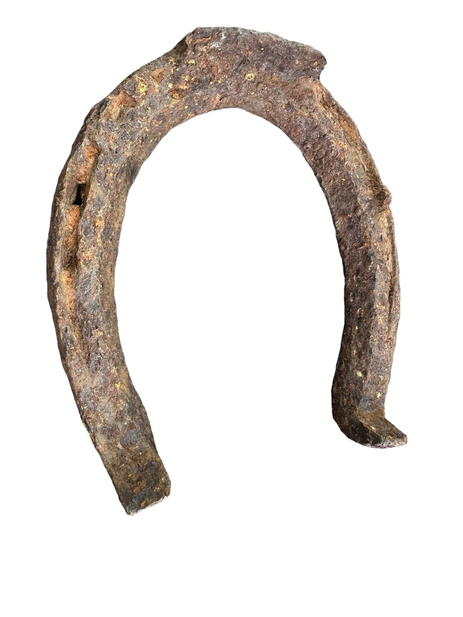 Early 20th Century Rustic Horseshoes Wall Decor- Set of 5 - 8