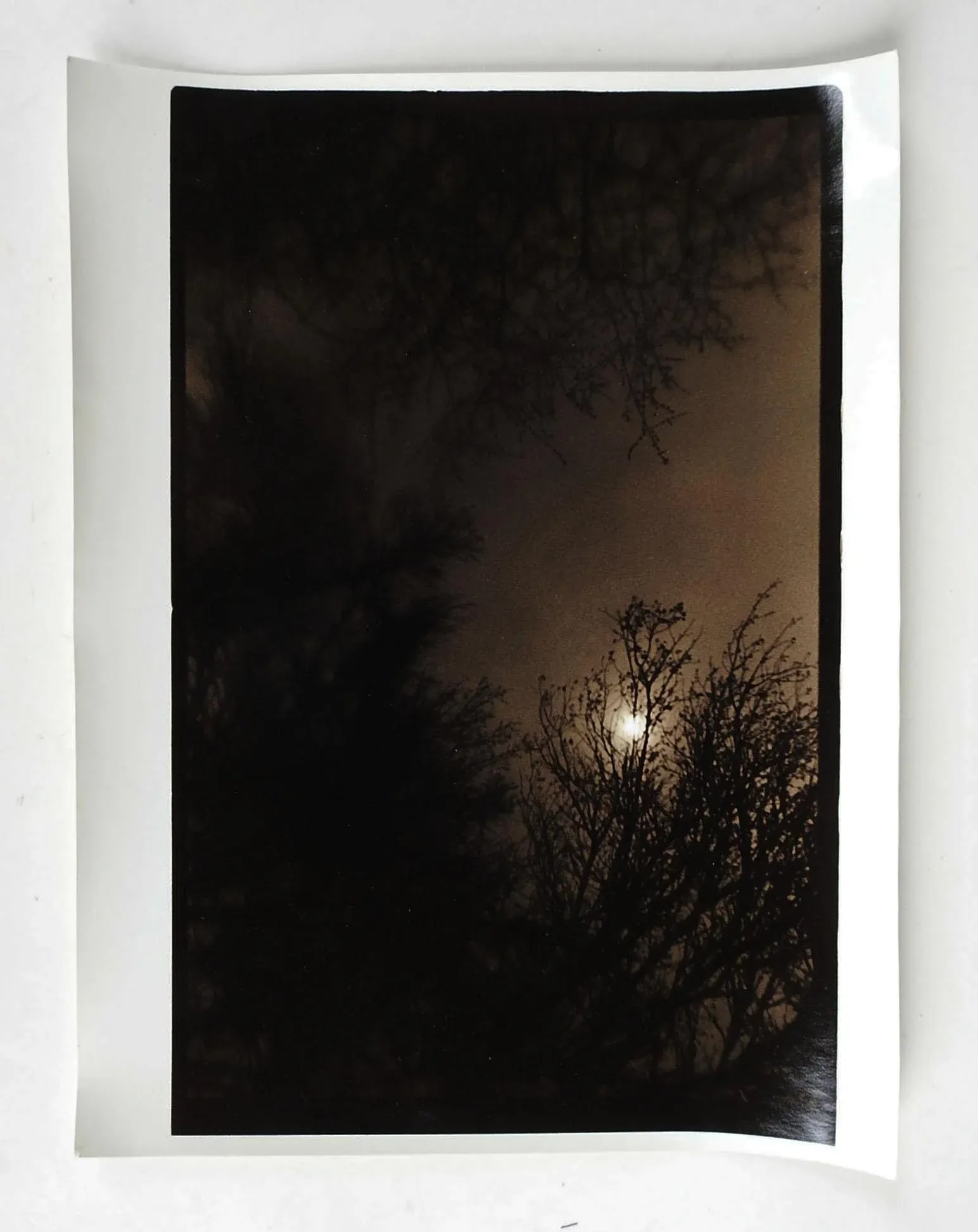 Vintage 1990's Sepia Toned Sunset Landscape Photograph - 2