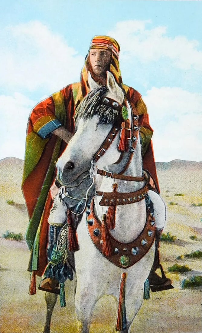 Vintage Kellogg Arabian Horse & Rudolph Valentino Postcard Print - 4