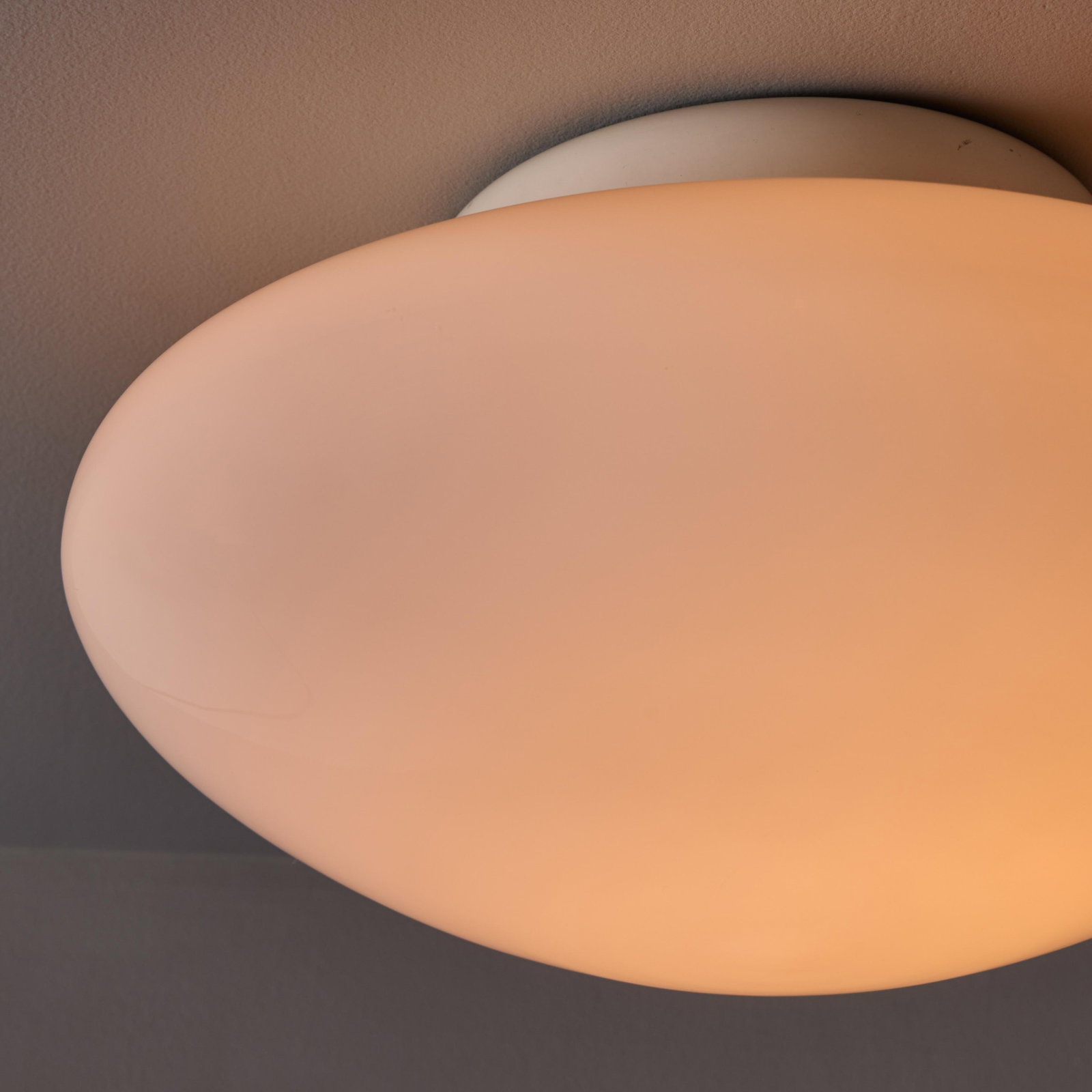 1971 Sergio Mazza 'Magnolia' Ceiling Lamp for Quattrifolio - 15
