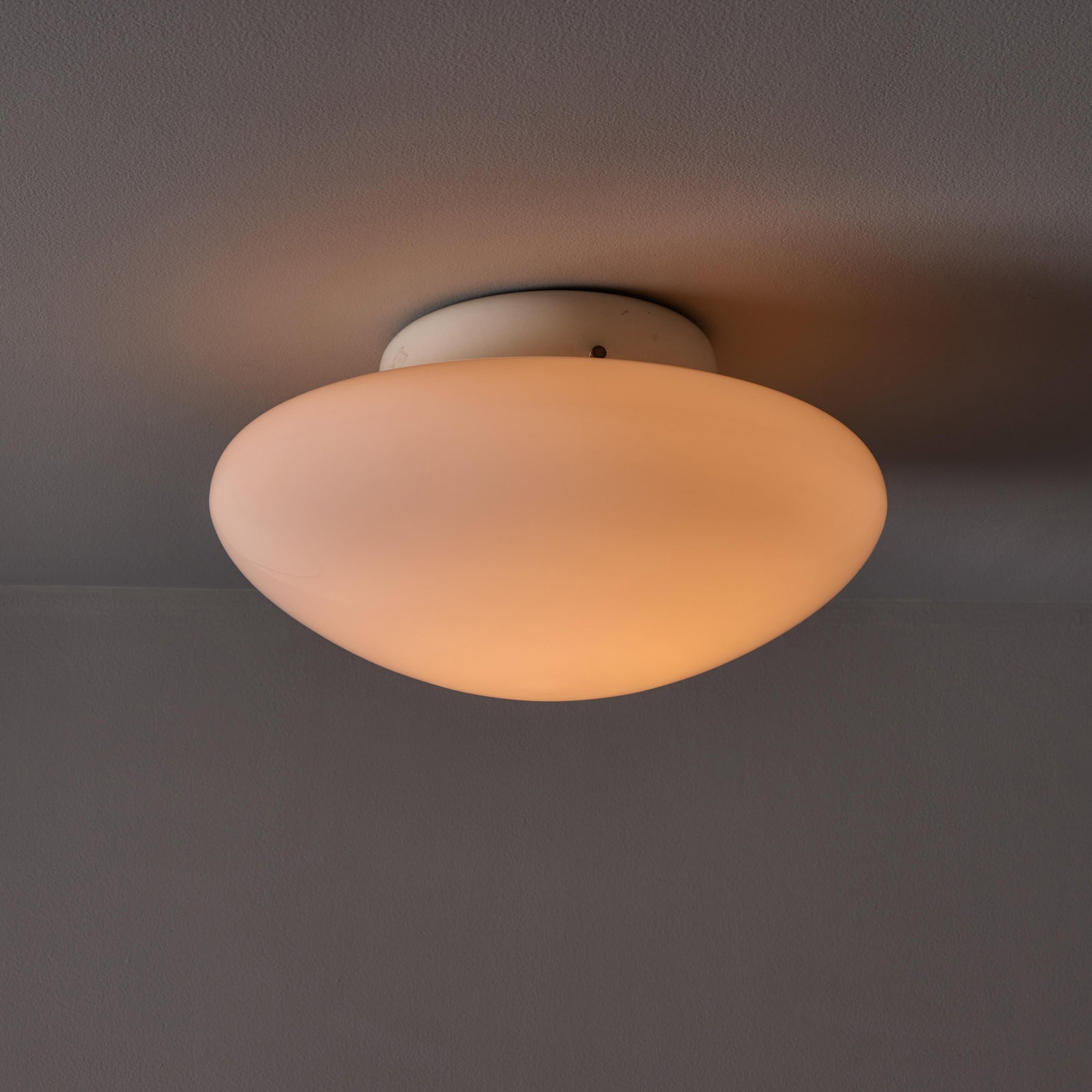 1971 Sergio Mazza 'Magnolia' Ceiling Lamp for Quattrifolio - 2