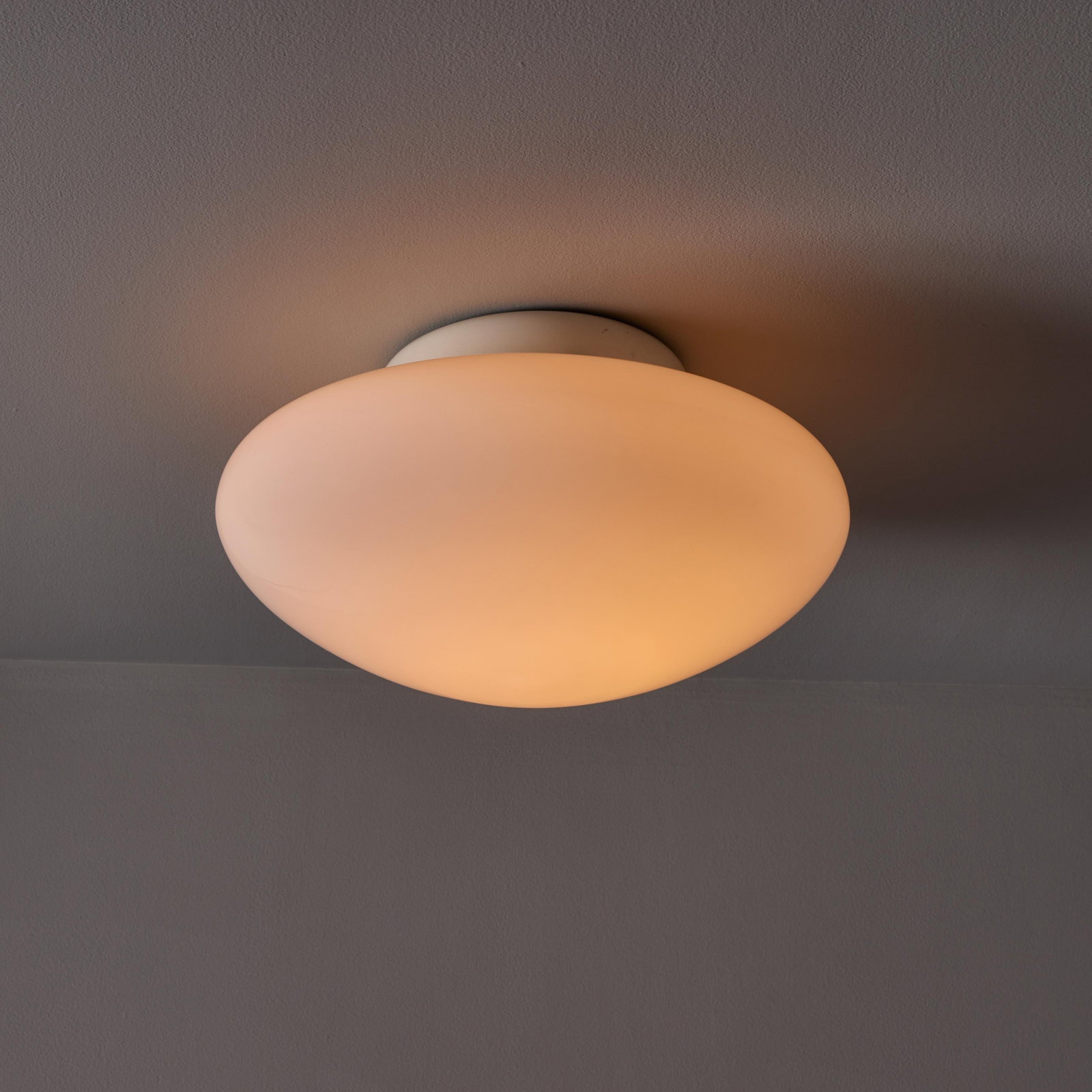 1971 Sergio Mazza 'Magnolia' Ceiling Lamp for Quattrifolio - 3