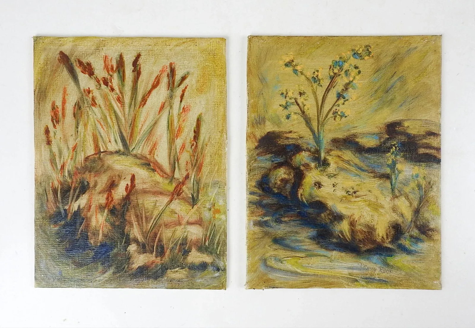 Vintage Mid 20th Century Garden Study Paintings - a Pair - 3