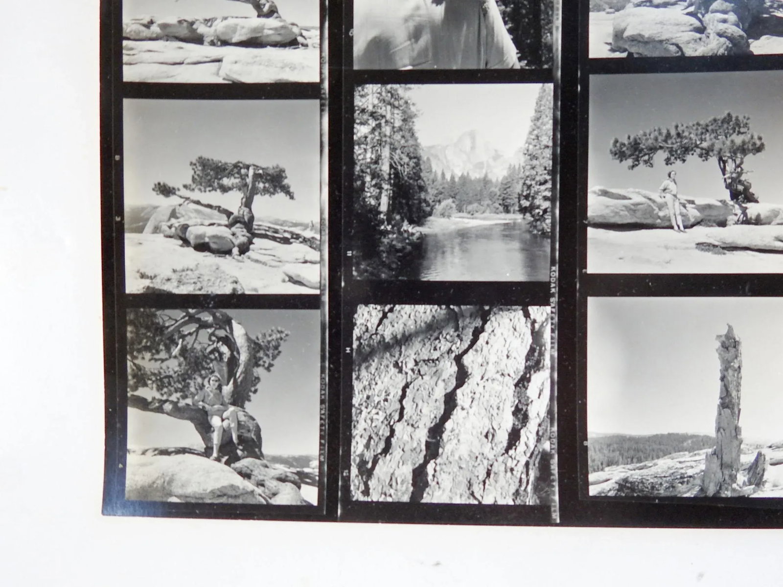 Vintage California Yosemite Contact Sheet Photographs - 3