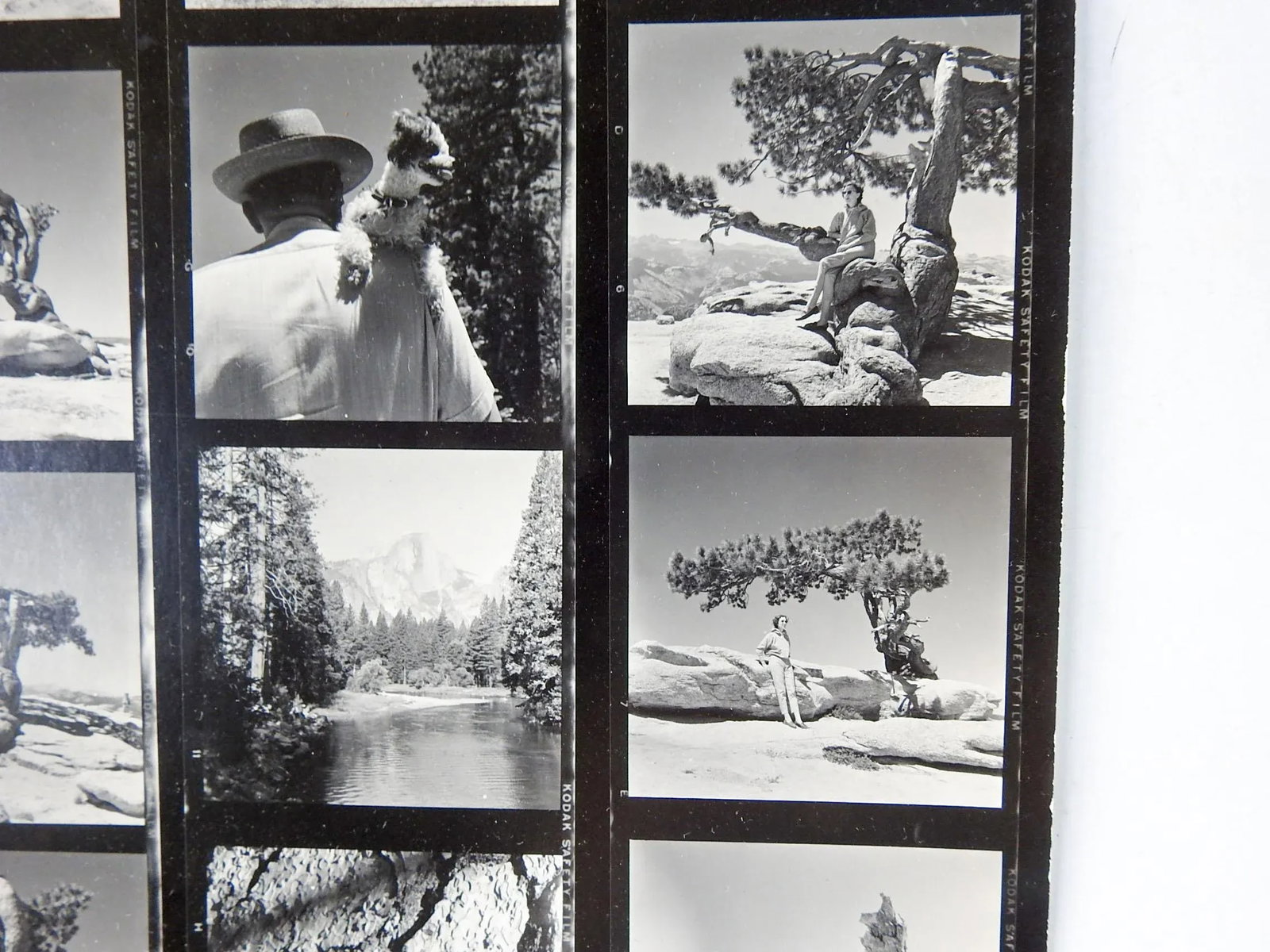 Vintage California Yosemite Contact Sheet Photographs - 4