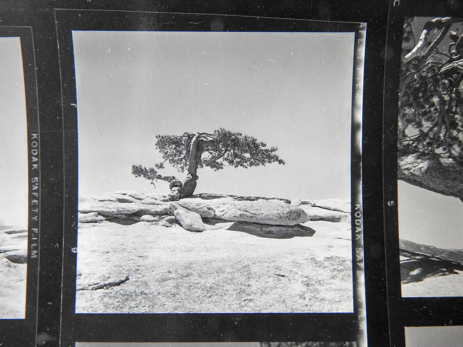 Vintage California Yosemite Contact Sheet Photographs - 5