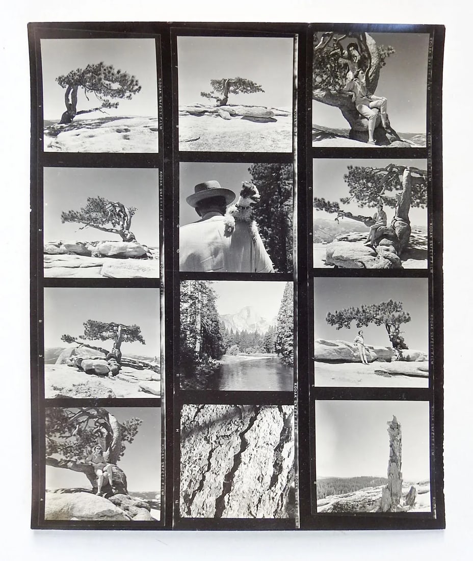 Vintage California Yosemite Contact Sheet Photographs - 6