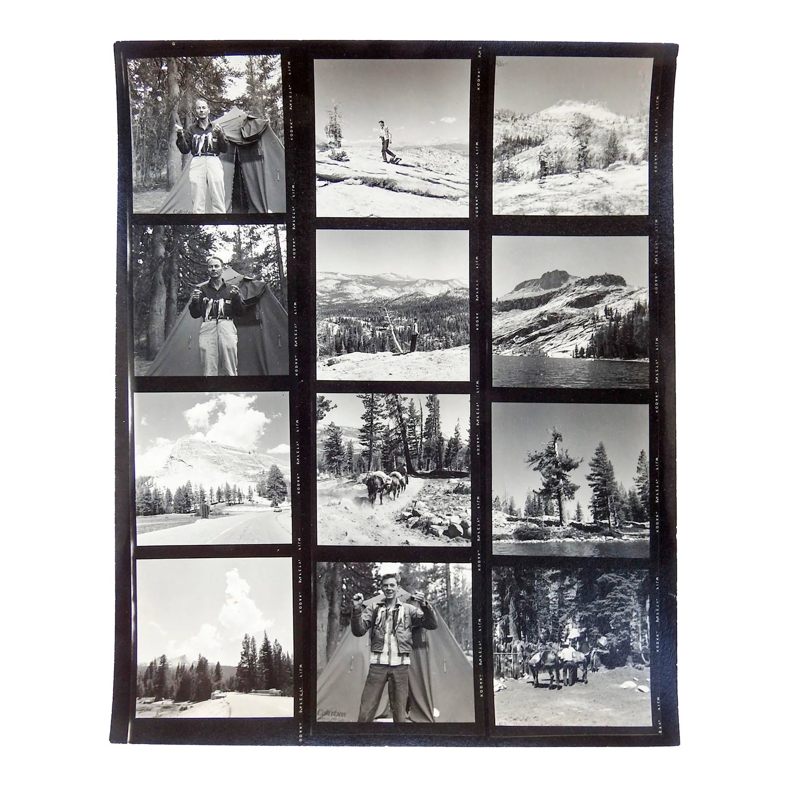 Vintage California Fishing Camping Contact Sheet Photographs: Photographers contact sheet of 12 photos circa 1950's. Photographer unknown but very good, Kodak Safety Film. Pictures include camping, pack mules, fishing and mountain landscapes. Each photo is