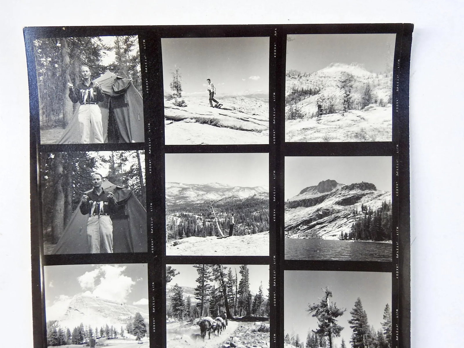 Vintage California Fishing Camping Contact Sheet Photographs - 4