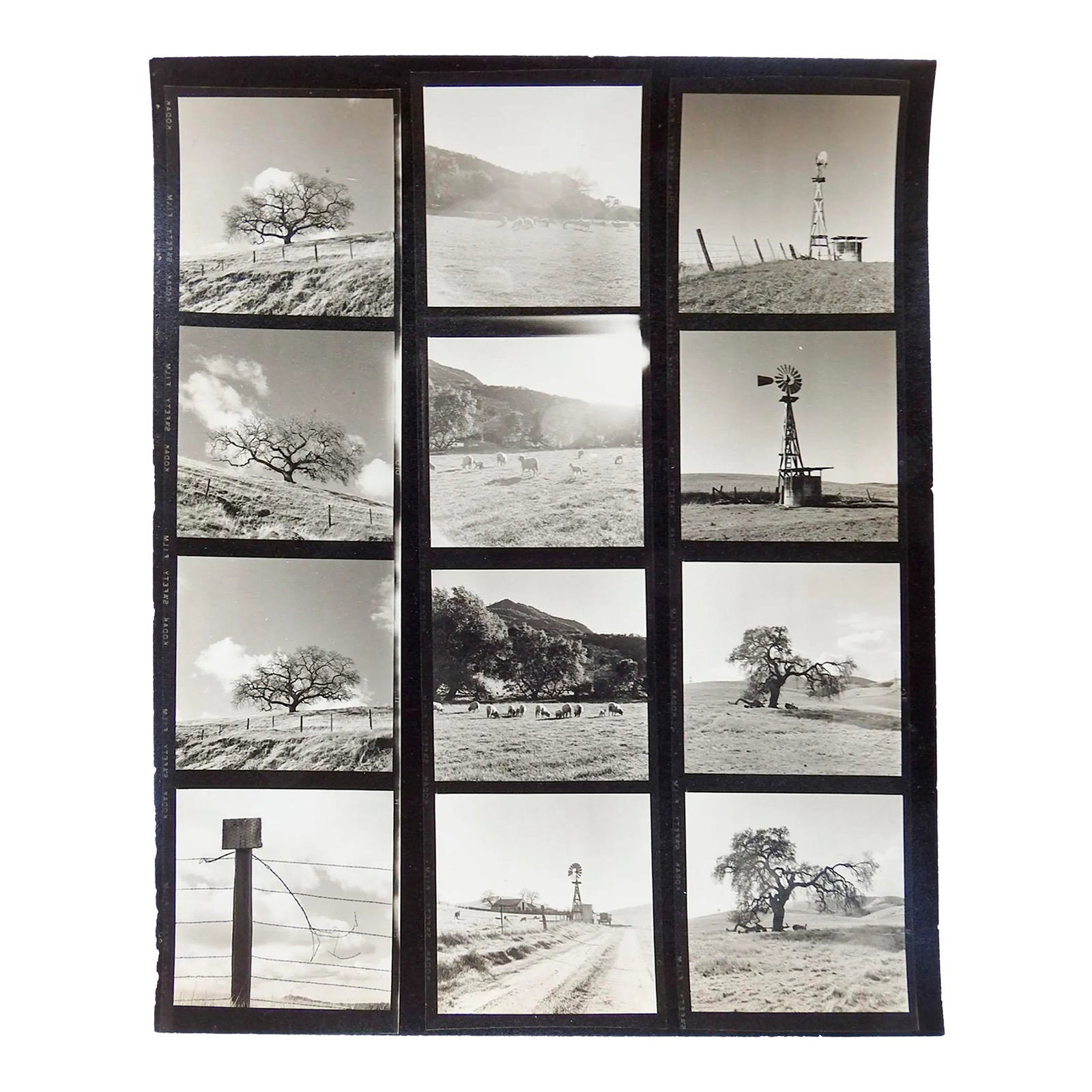 Vintage California Fine Art Photograph Contact Sheet Farm: Photographers contact sheet of 12 photos circa 1950's. Photographer unknown but very good, Kodak Safety Film. Pictures include old farm windmill, sheep and landscape studies. Likely in California, bas