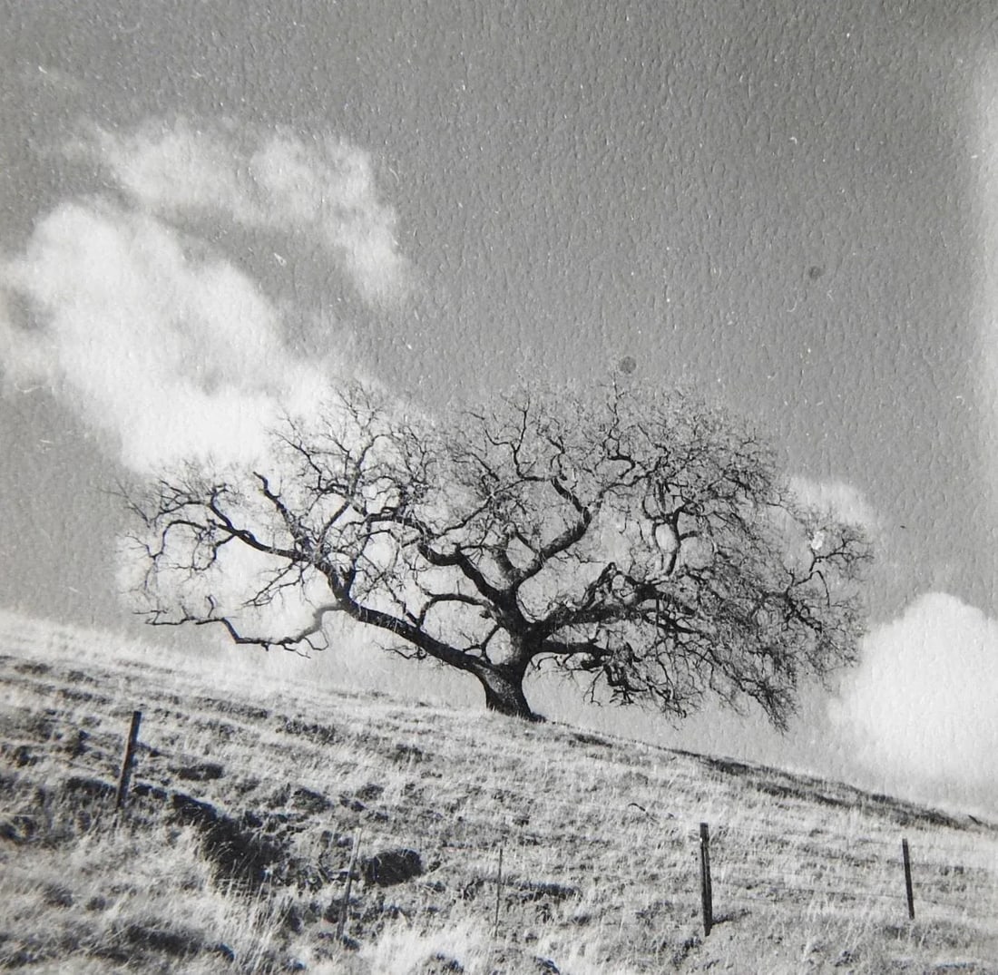 Vintage California Fine Art Photograph Contact Sheet Farm - 3