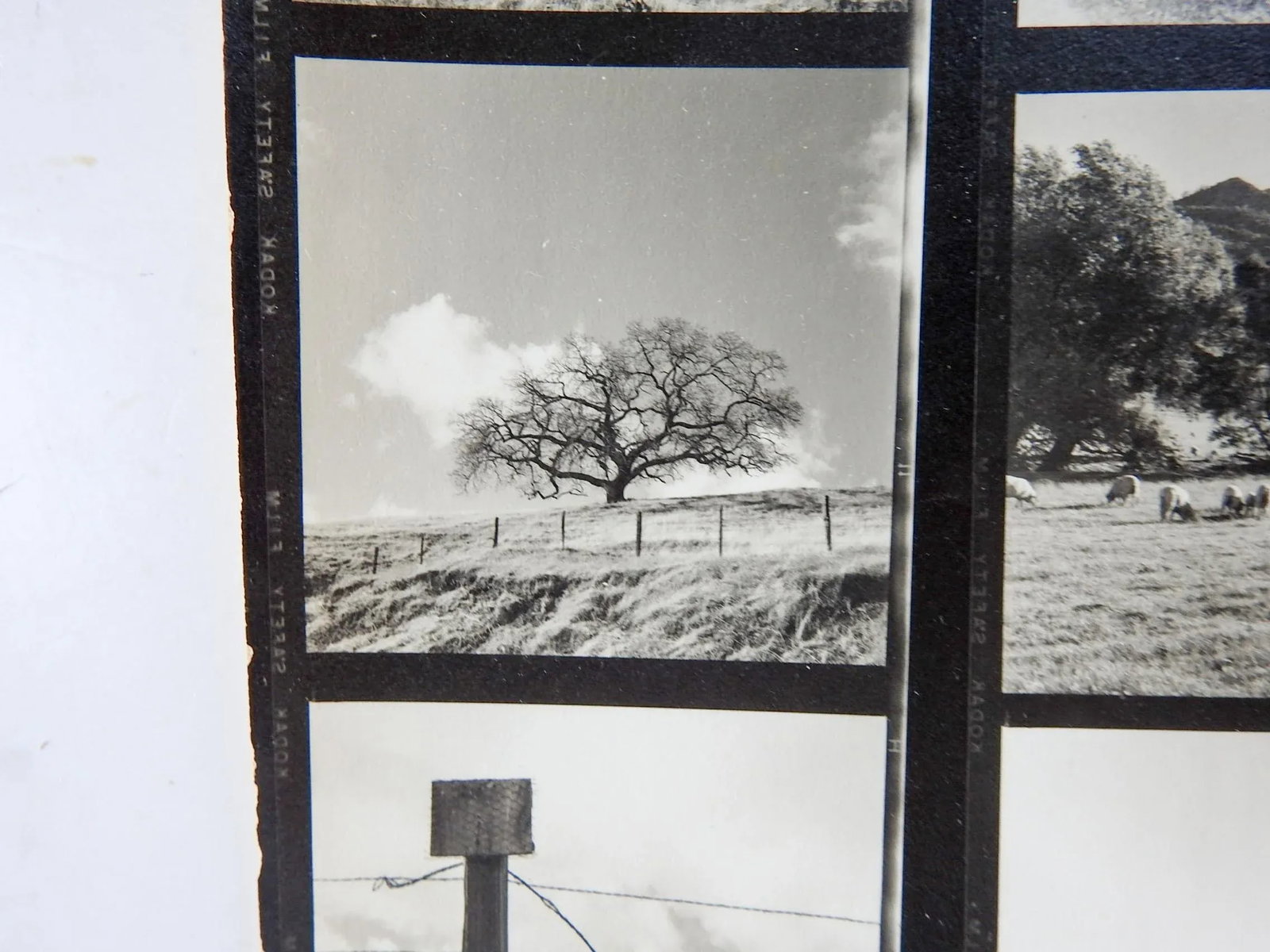 Vintage California Fine Art Photograph Contact Sheet Farm - 4