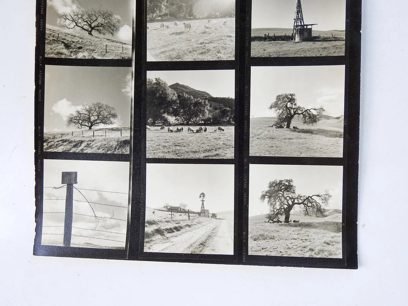 Vintage California Fine Art Photograph Contact Sheet Farm - 6