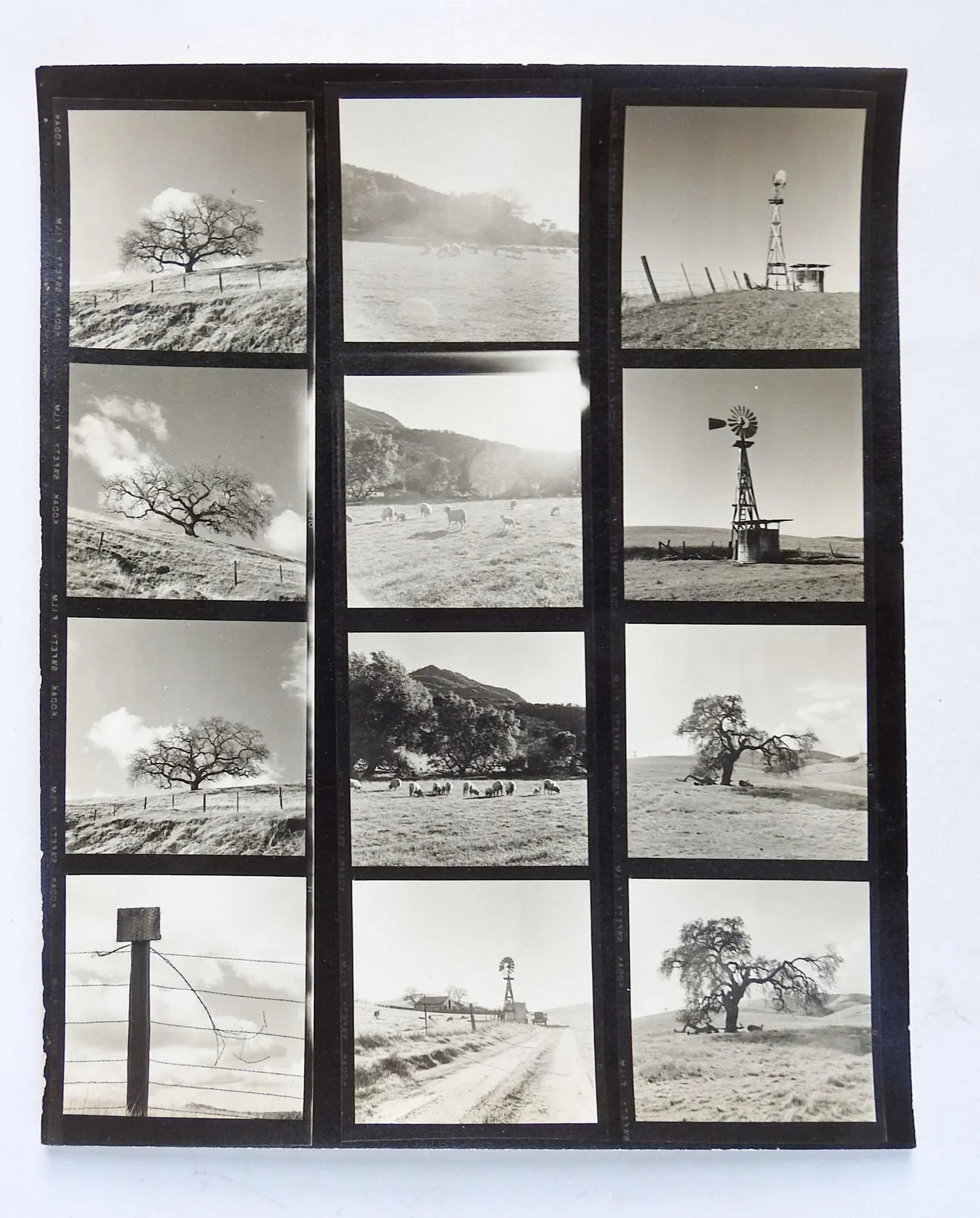 Vintage California Fine Art Photograph Contact Sheet Farm - 7