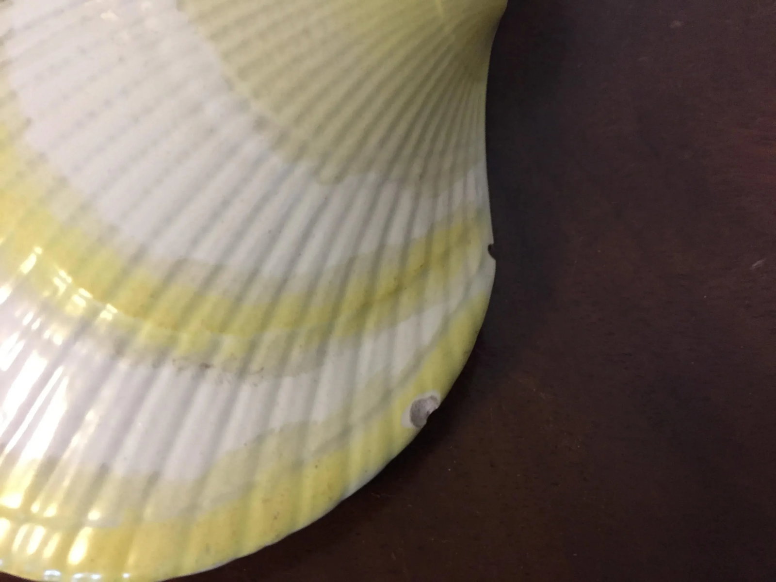 Antique Early 19th Century Wedgwood Creamware Pearlware Nautilus Sea Shell Sauce Tureen or Box - 5