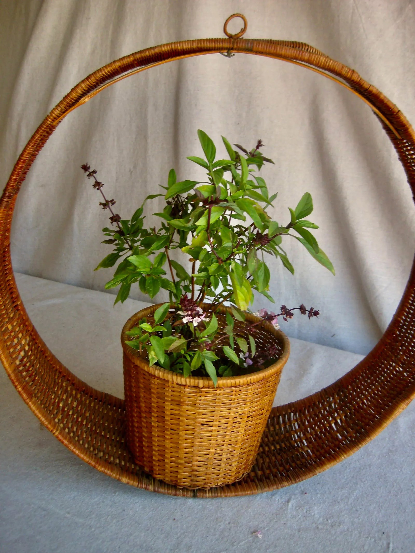 Mid Century Modern Wicker Hanging Plant Holder - 9