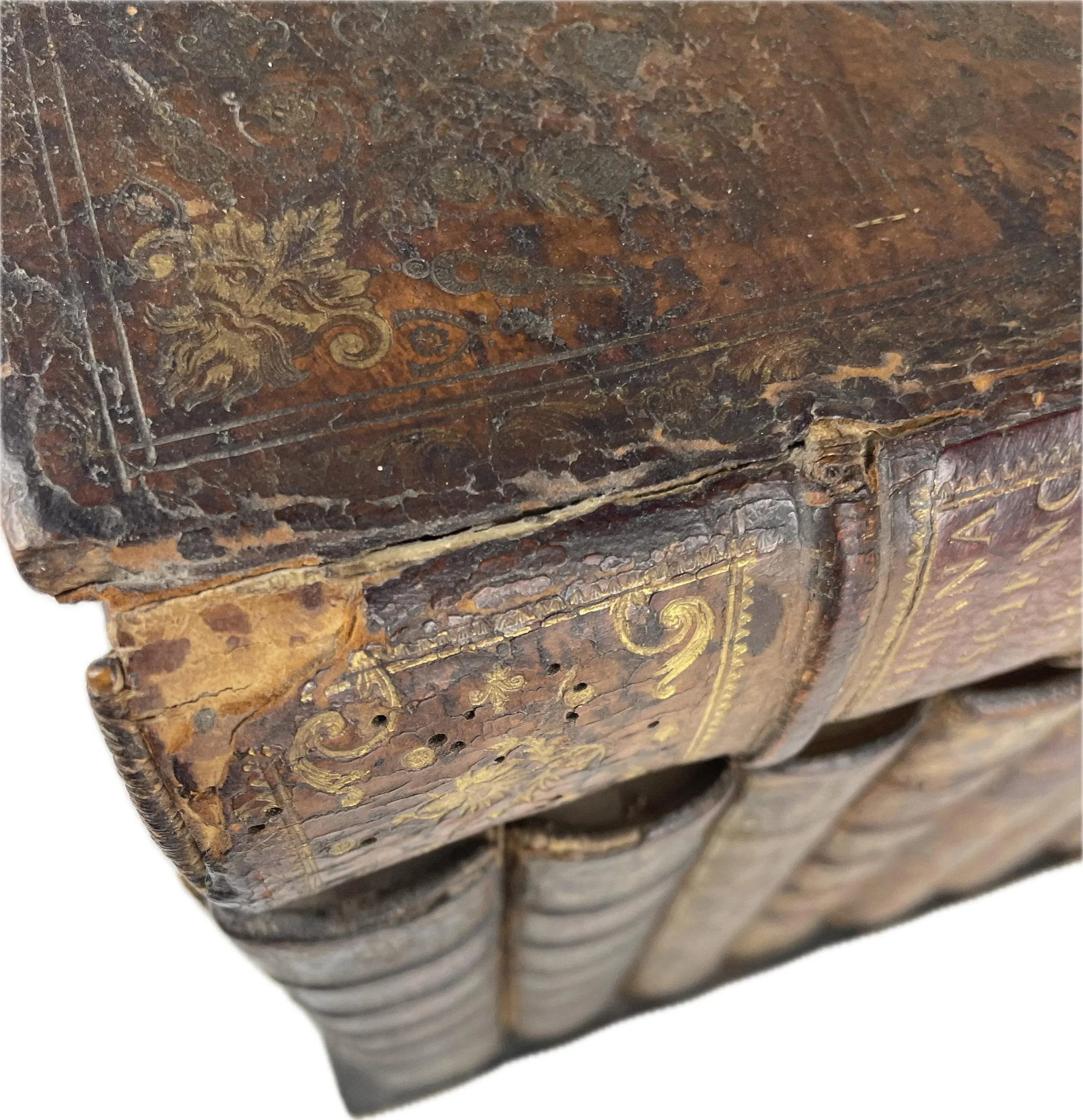19th Century French Napoleon III Secret Book Liquor Cellarette- 9 Pieces - 11