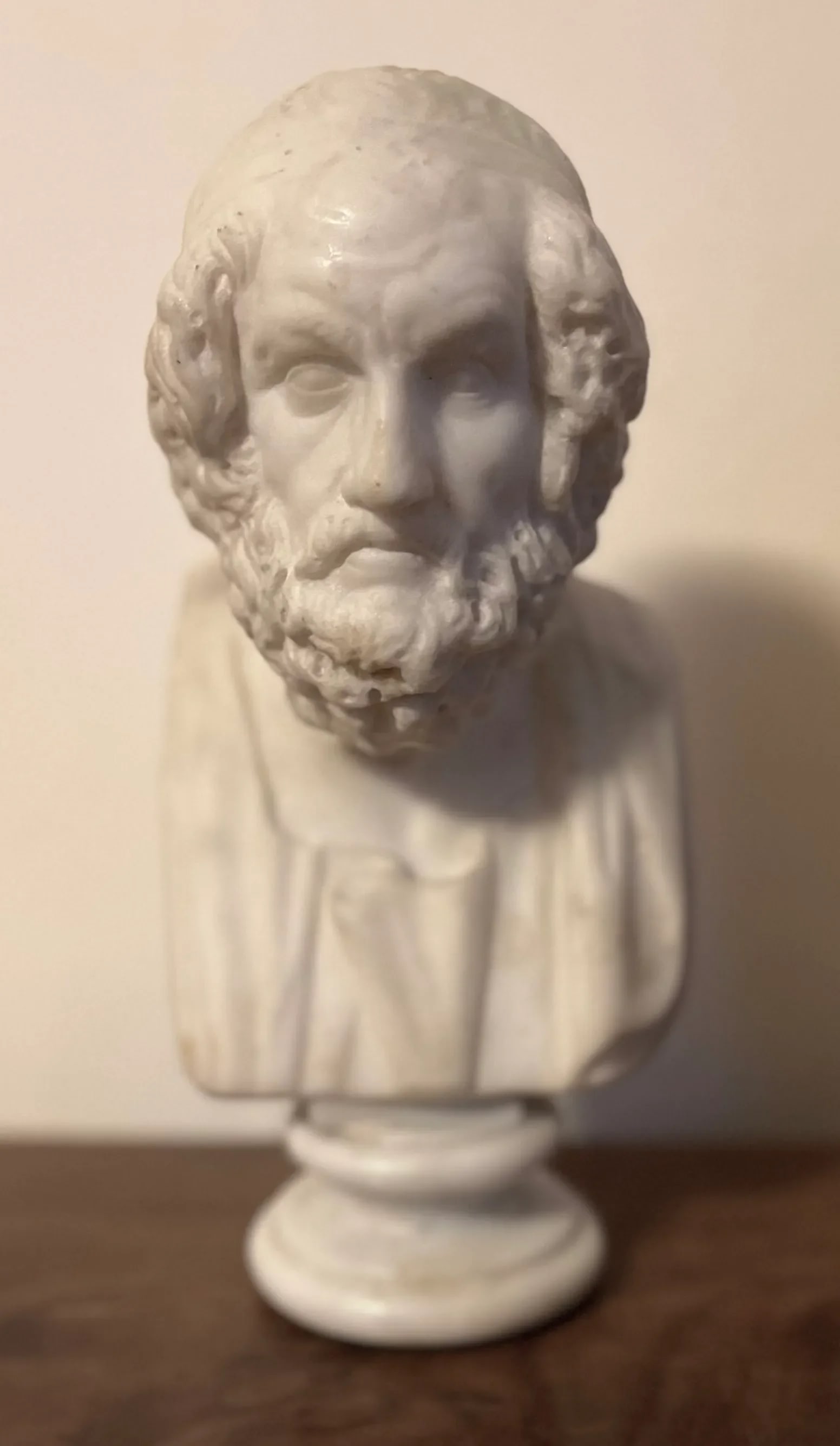 Antique 19th Century Italian Grand Tour Carved White Marble Classical Bust of Homer - 10