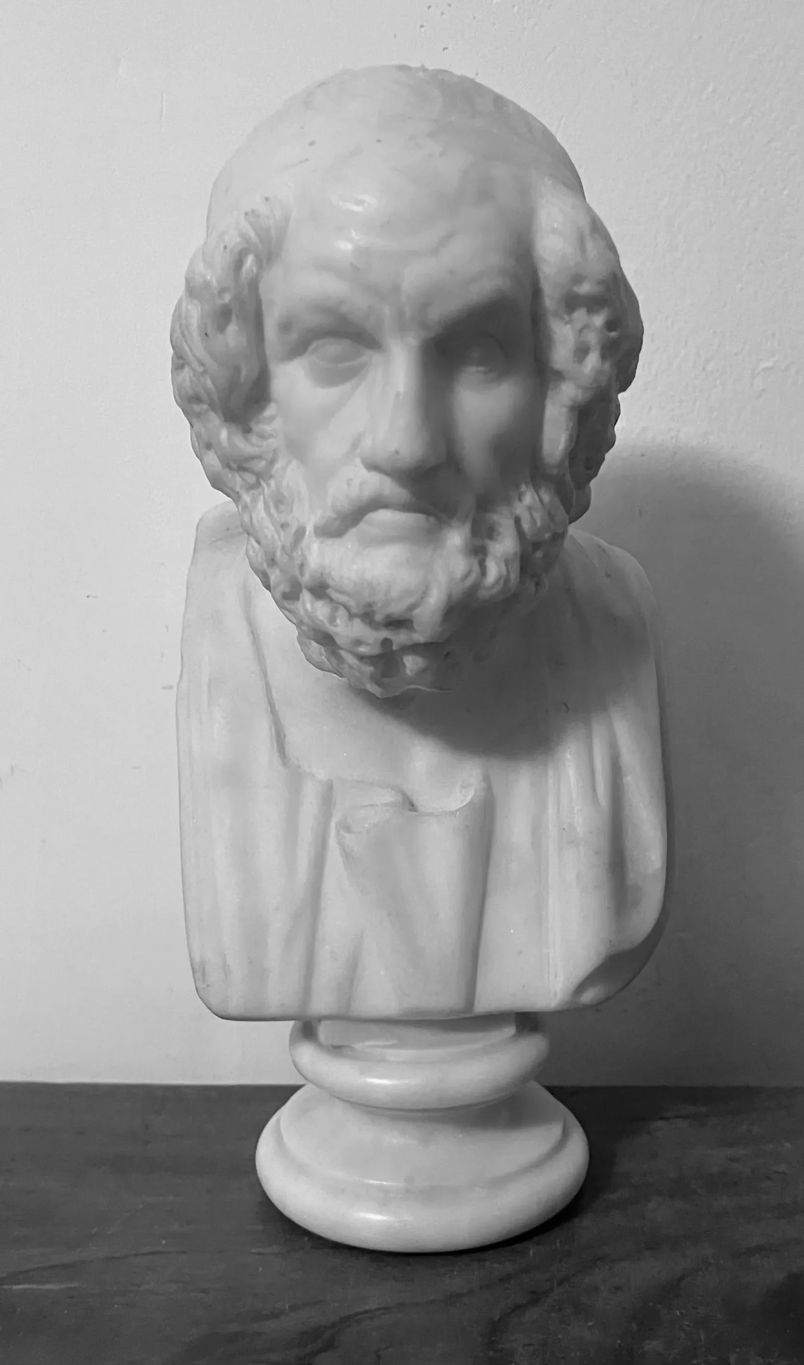 Antique 19th Century Italian Grand Tour Carved White Marble Classical Bust of Homer - 2