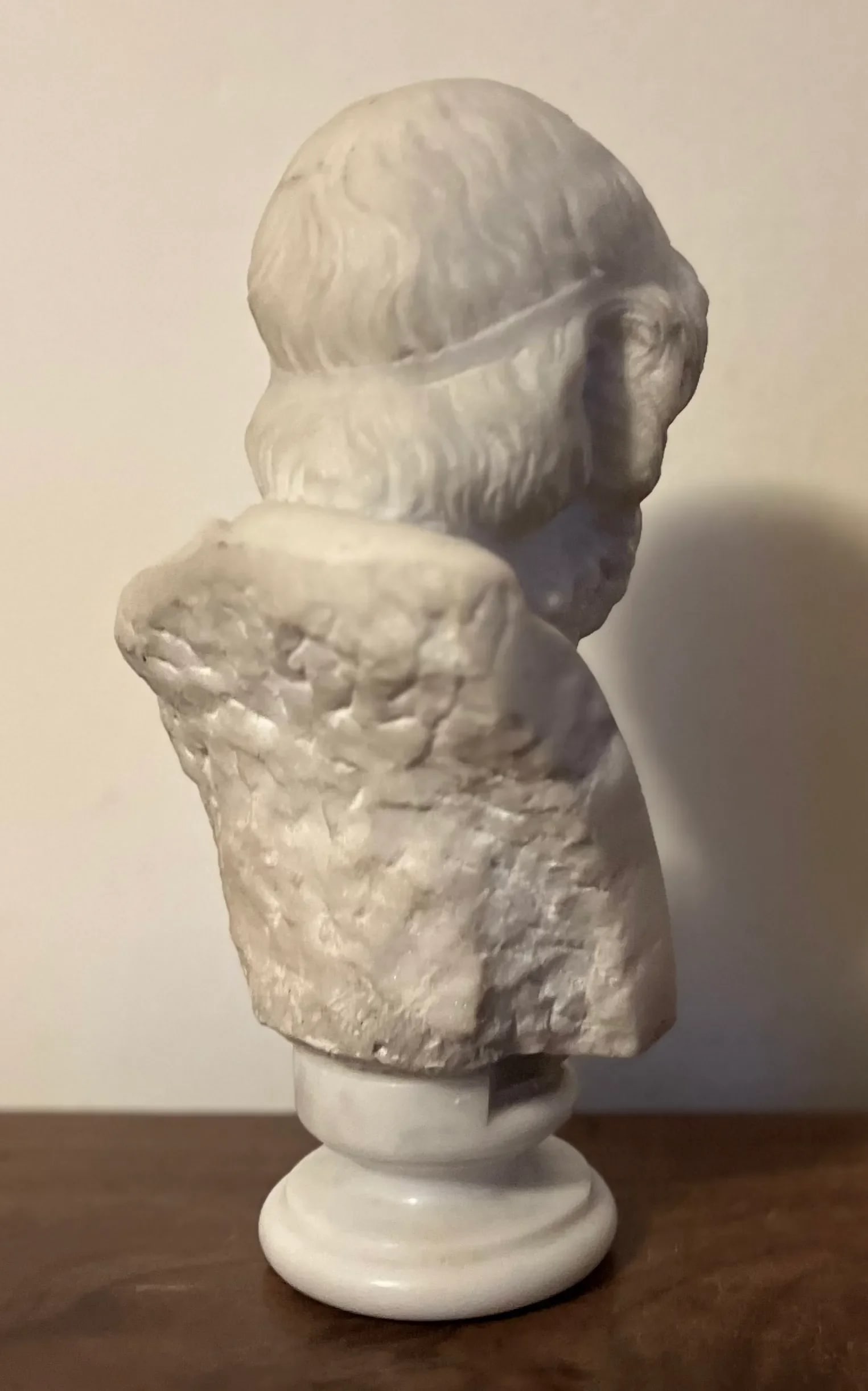 Antique 19th Century Italian Grand Tour Carved White Marble Classical Bust of Homer - 5