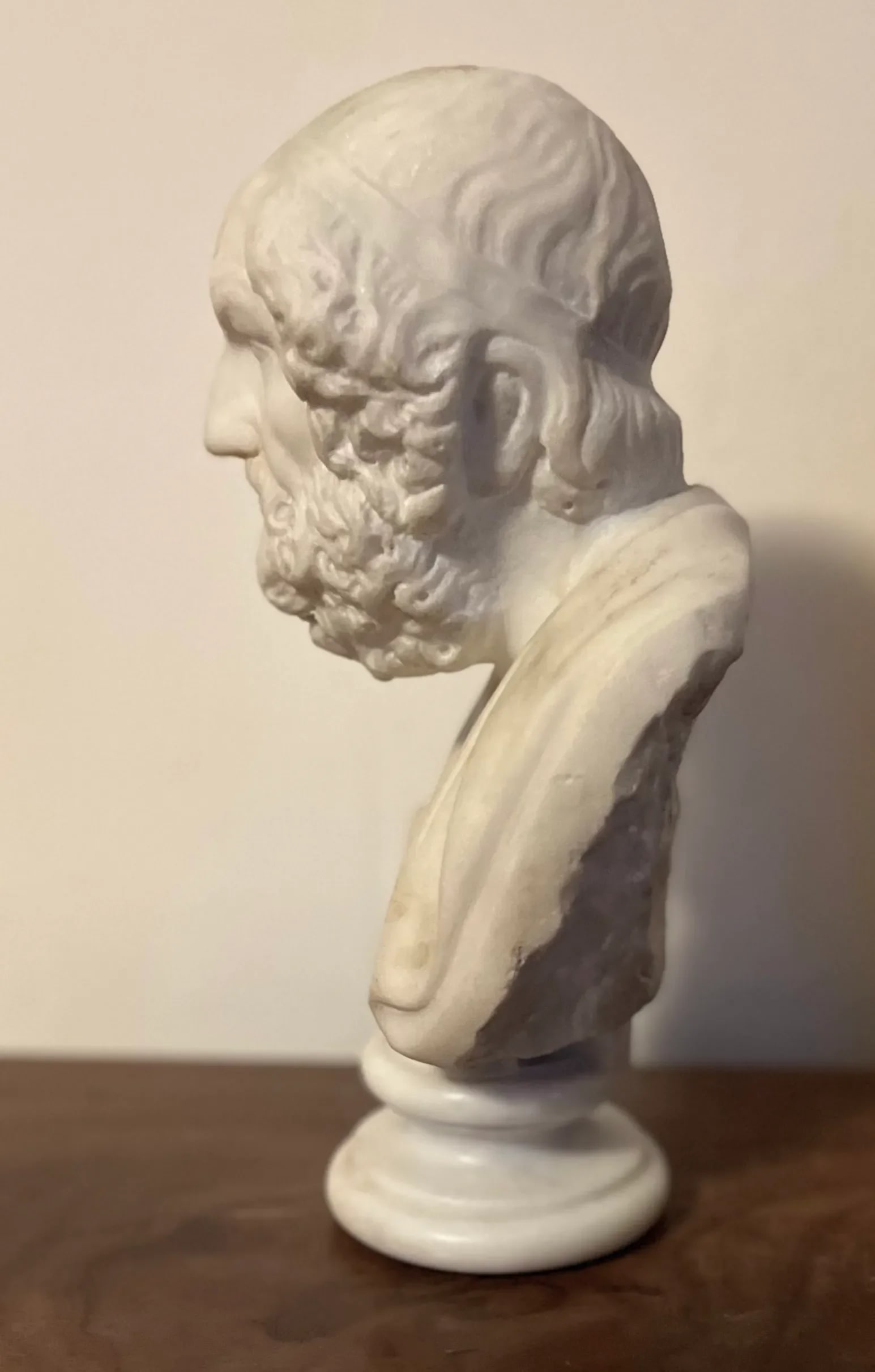 Antique 19th Century Italian Grand Tour Carved White Marble Classical Bust of Homer - 8