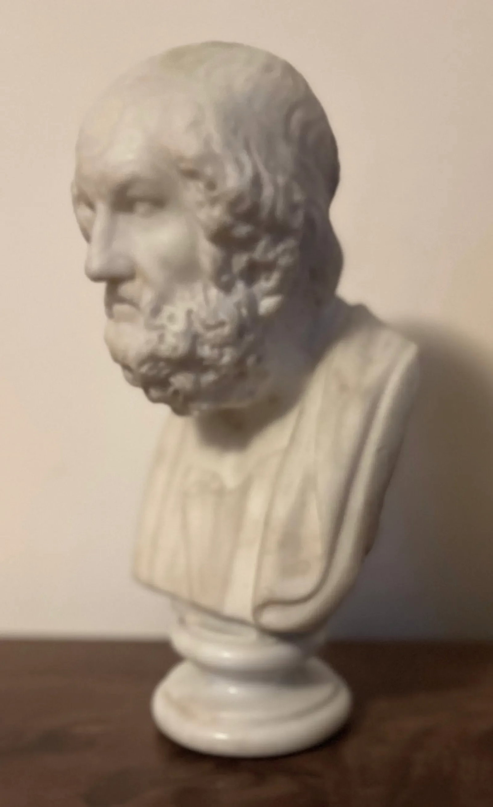 Antique 19th Century Italian Grand Tour Carved White Marble Classical Bust of Homer - 9