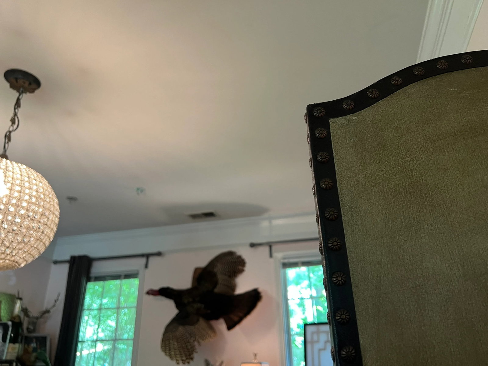 Vintage Large Screen With Bird Details - 9